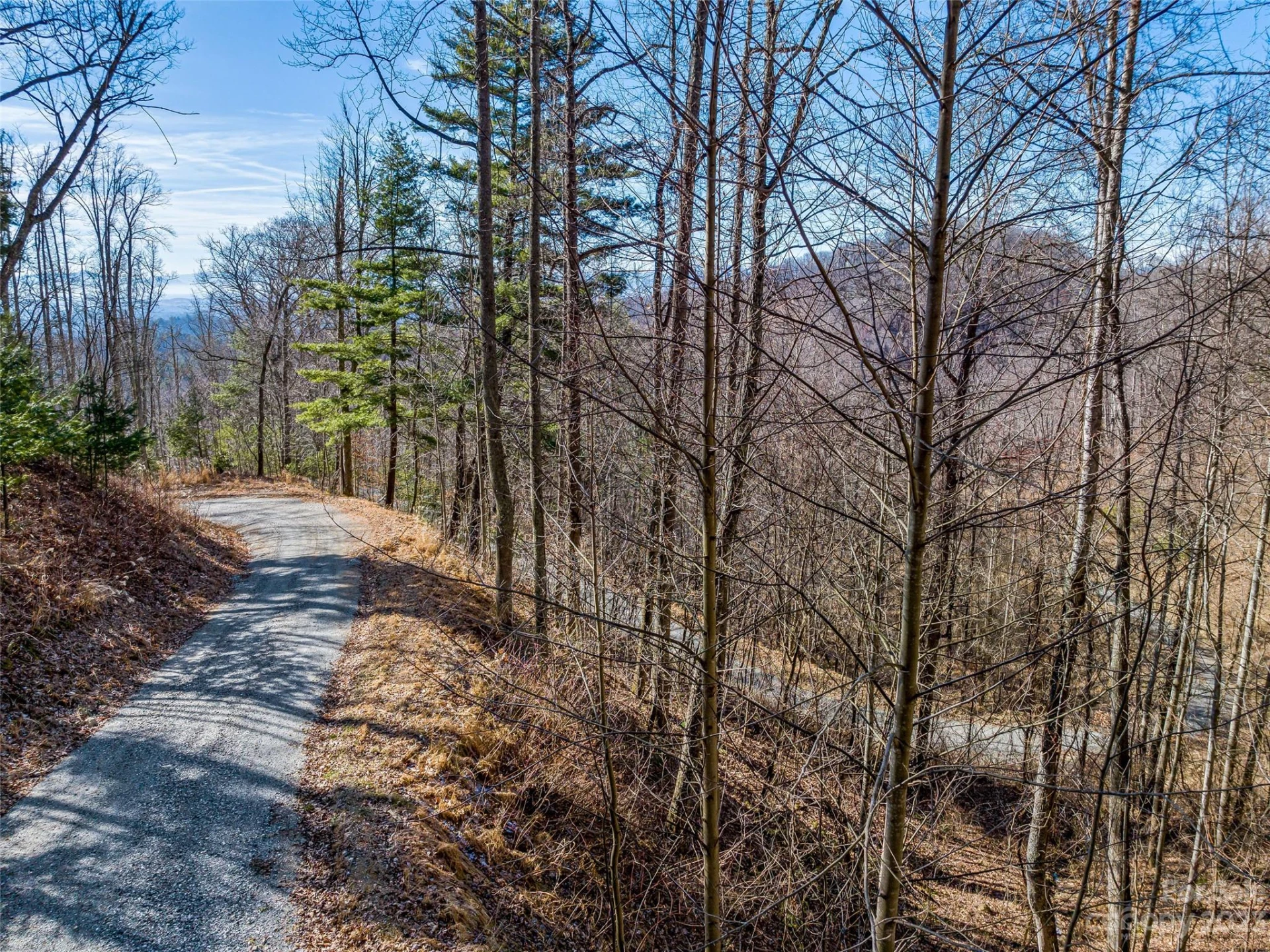 1592 & 1370 Bone Camp Road - Photo 14