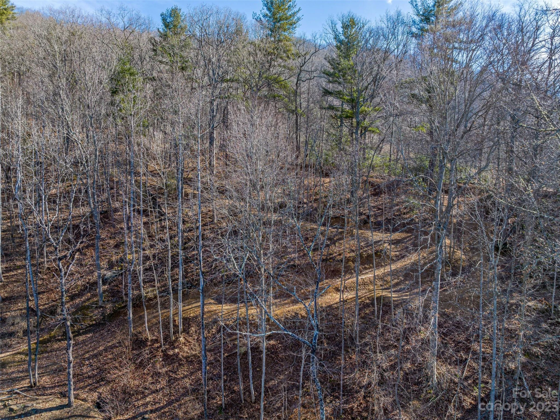 1592 & 1370 Bone Camp Road - Photo 15