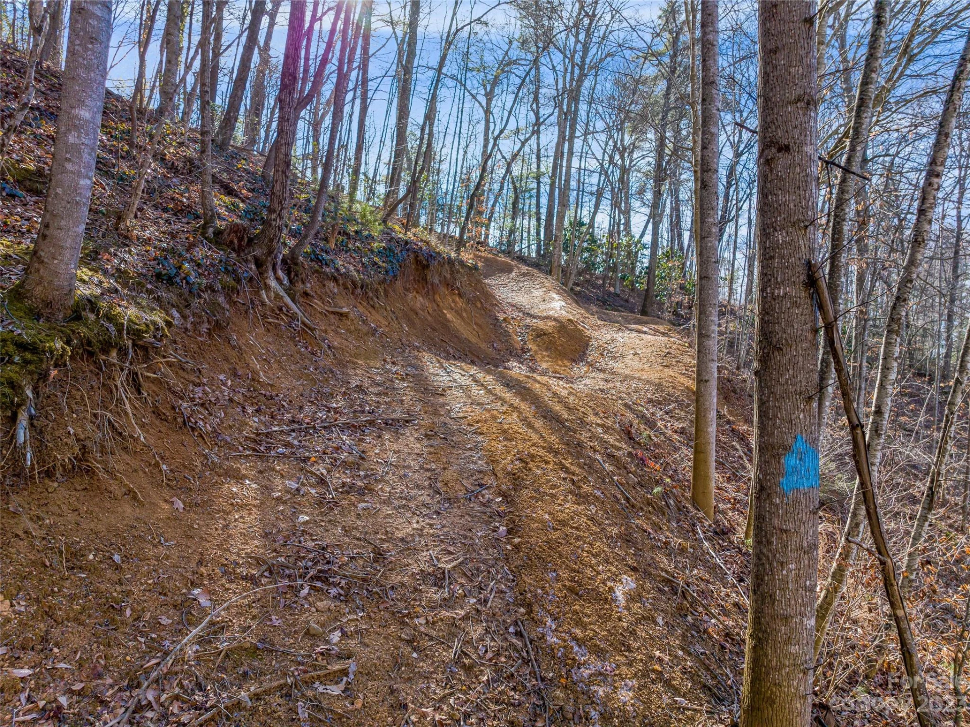 1592 & 1370 Bone Camp Road - Photo 16