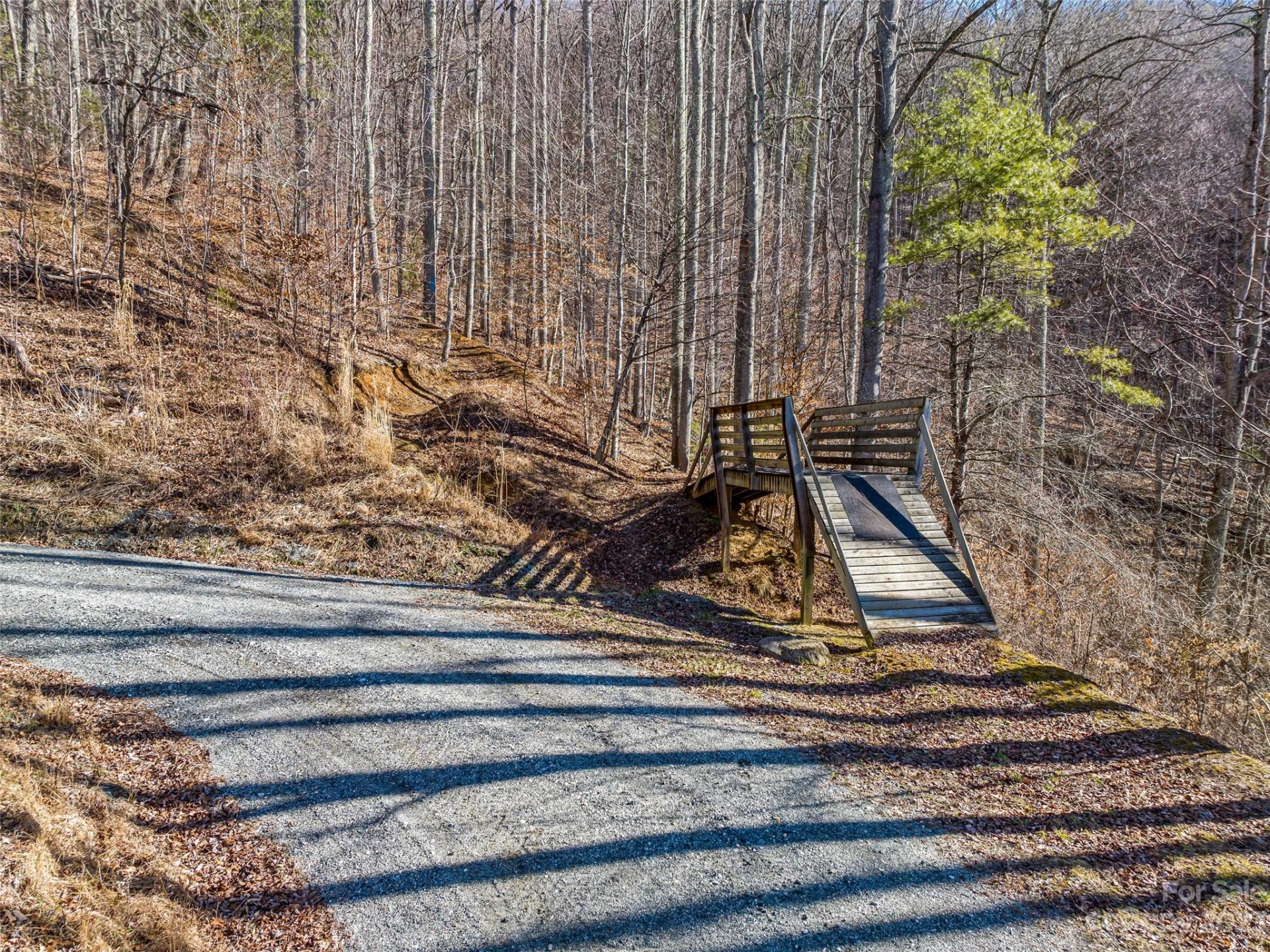 1592 & 1370 Bone Camp Road - Photo 18