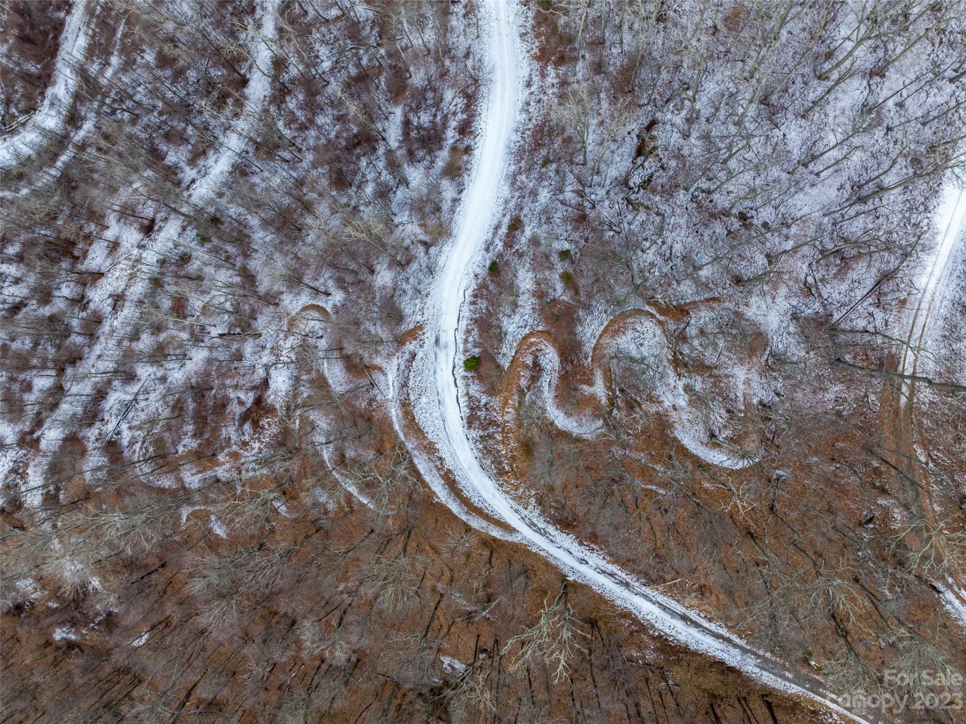 1592 & 1370 Bone Camp Road - Photo 31