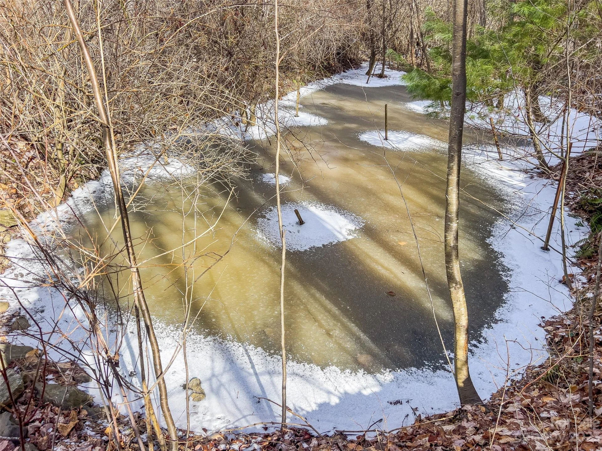 1592 & 1370 Bone Camp Road - Photo 38