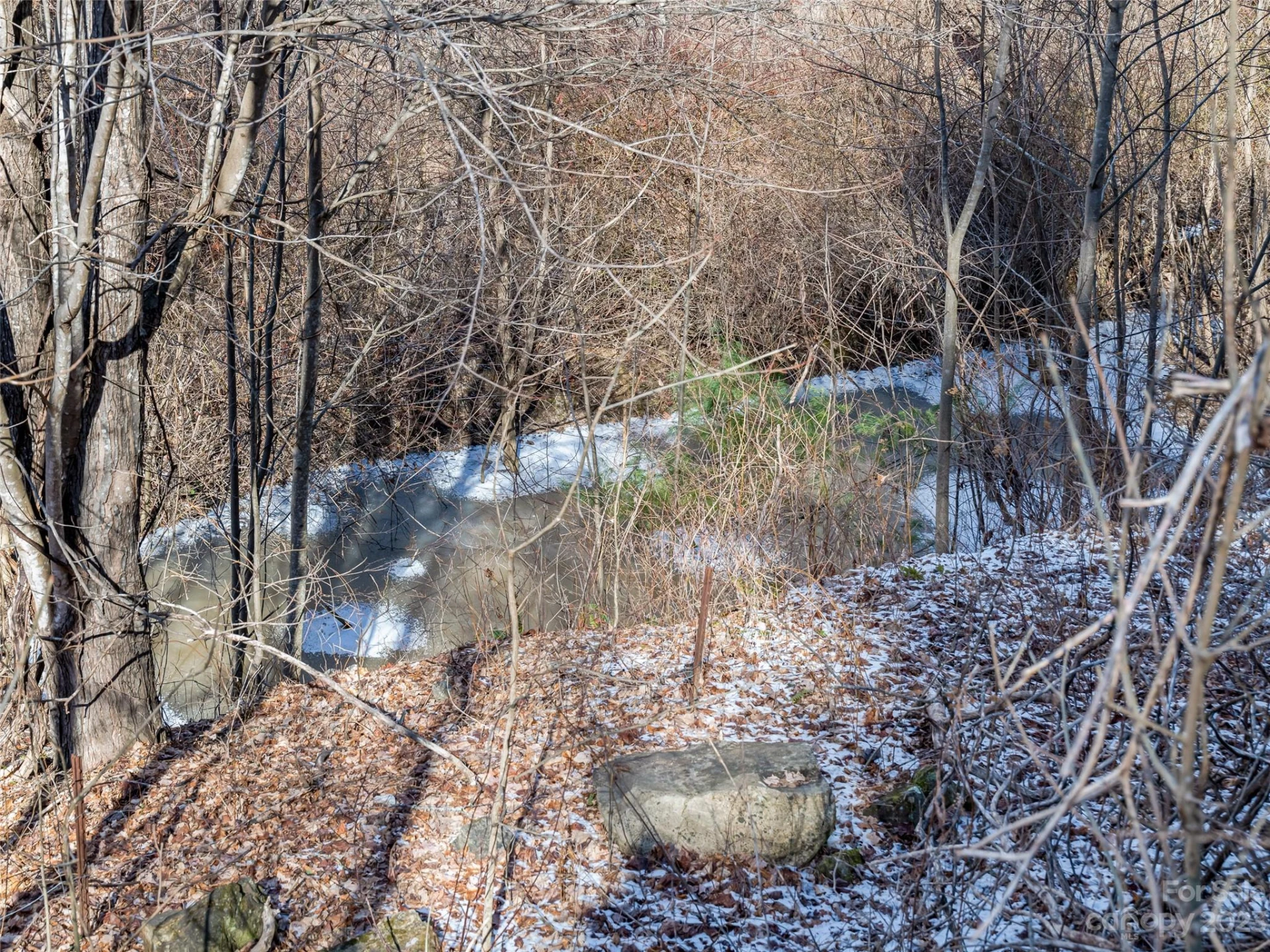 1592 & 1370 Bone Camp Road - Photo 39