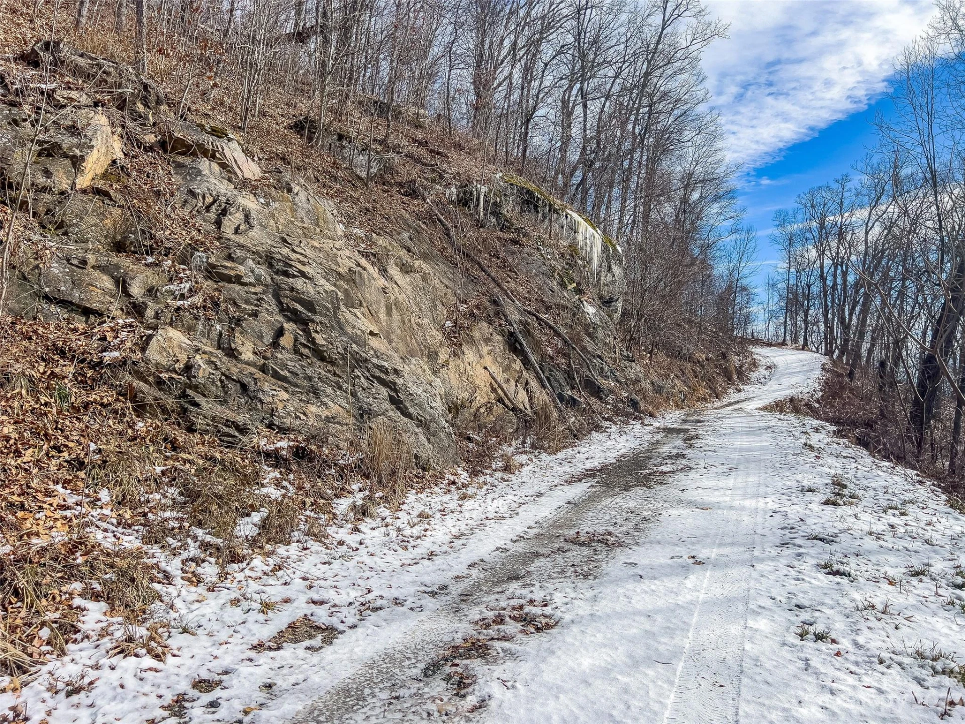 1592 & 1370 Bone Camp Road - Photo 40