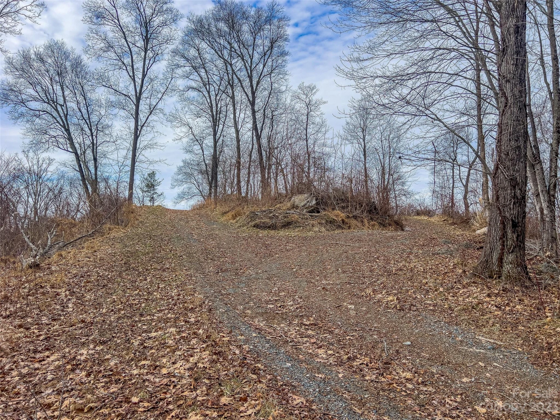 1592 & 1370 Bone Camp Road - Photo 41