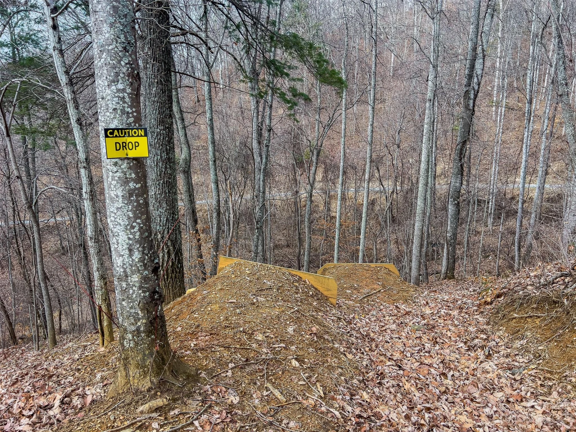 1592 & 1370 Bone Camp Road - Photo 43