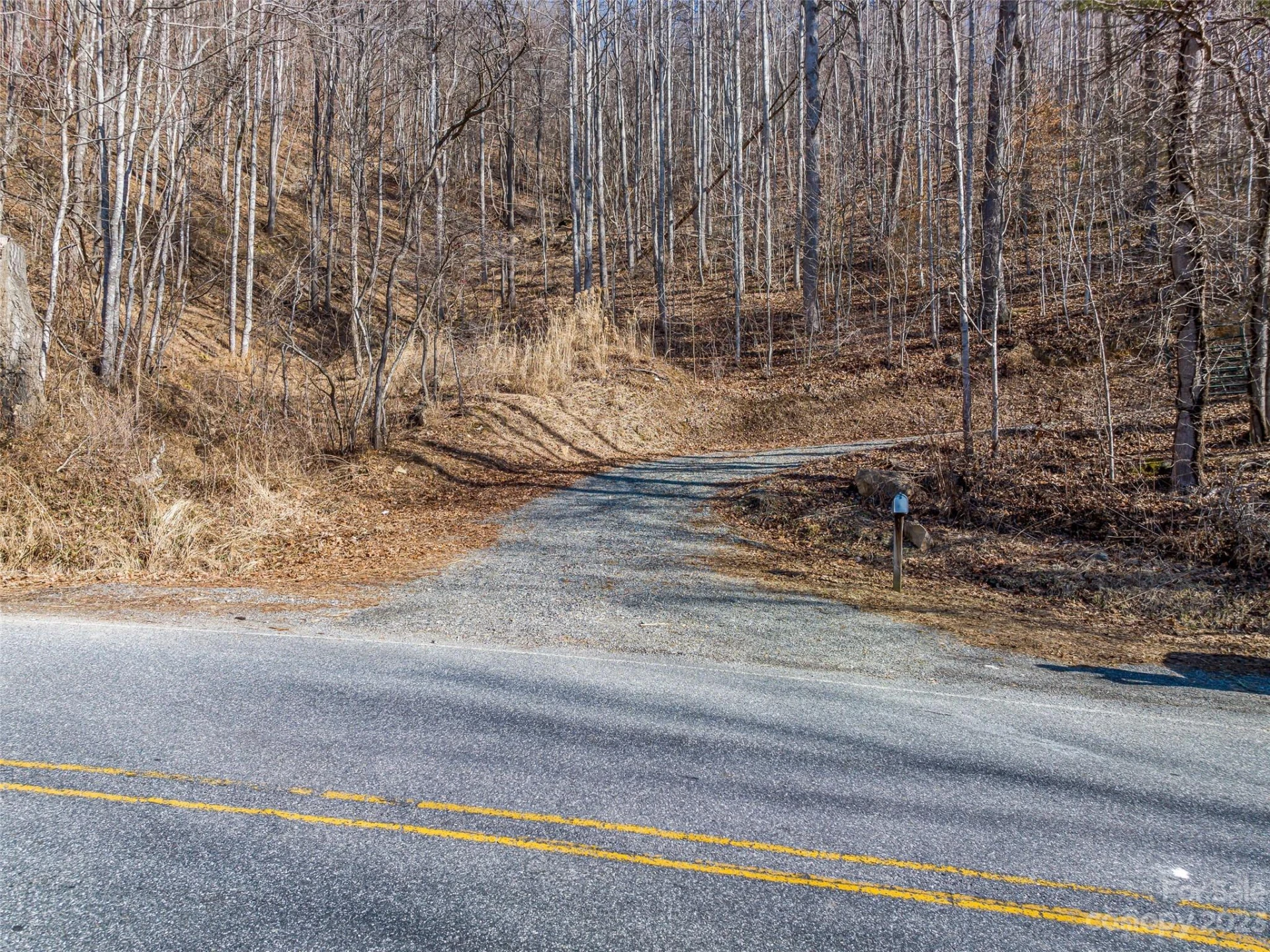 1592 & 1370 Bone Camp Road - Photo 9