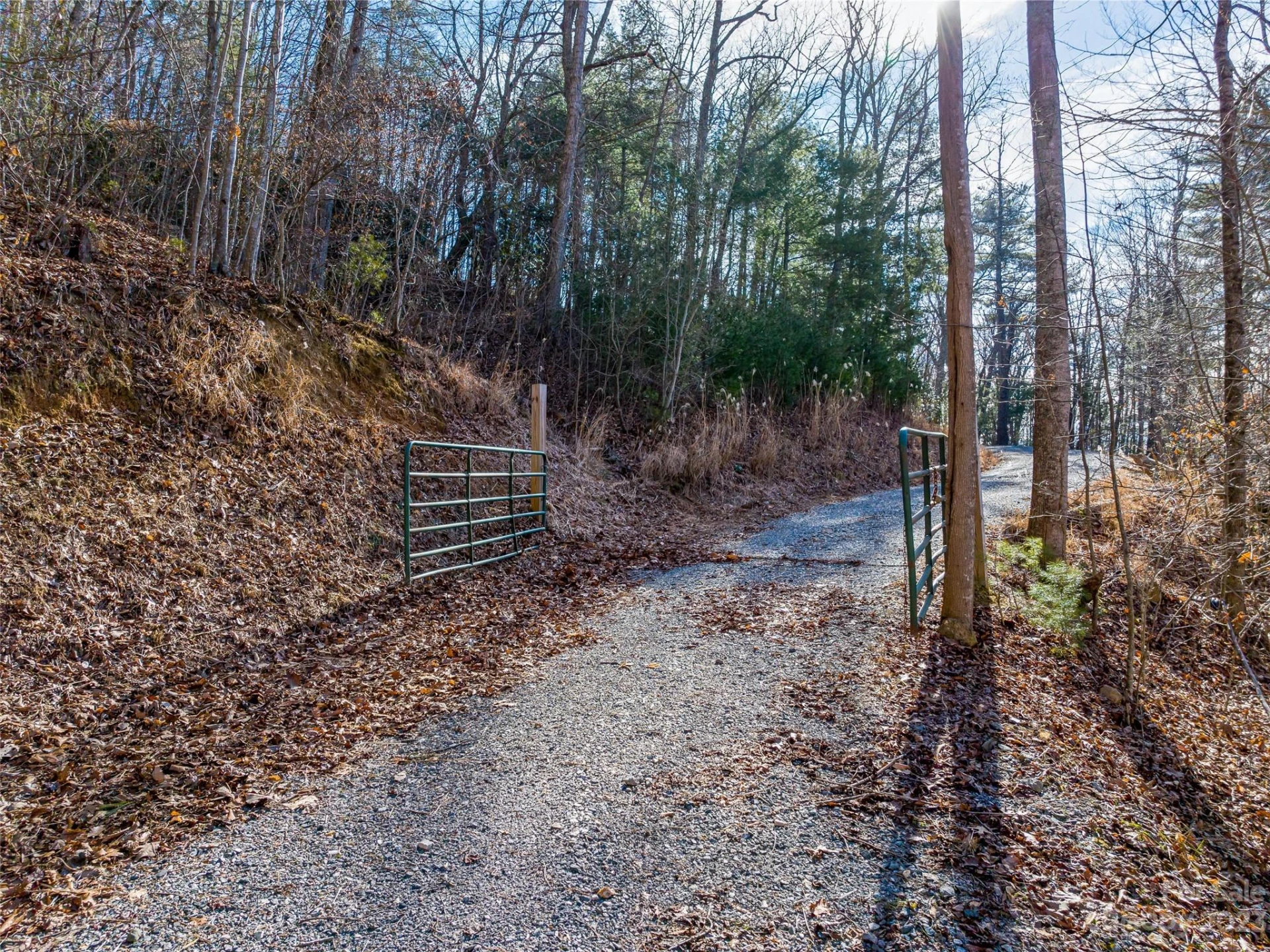 1592 & 1370 Bone Camp Road - Photo 10