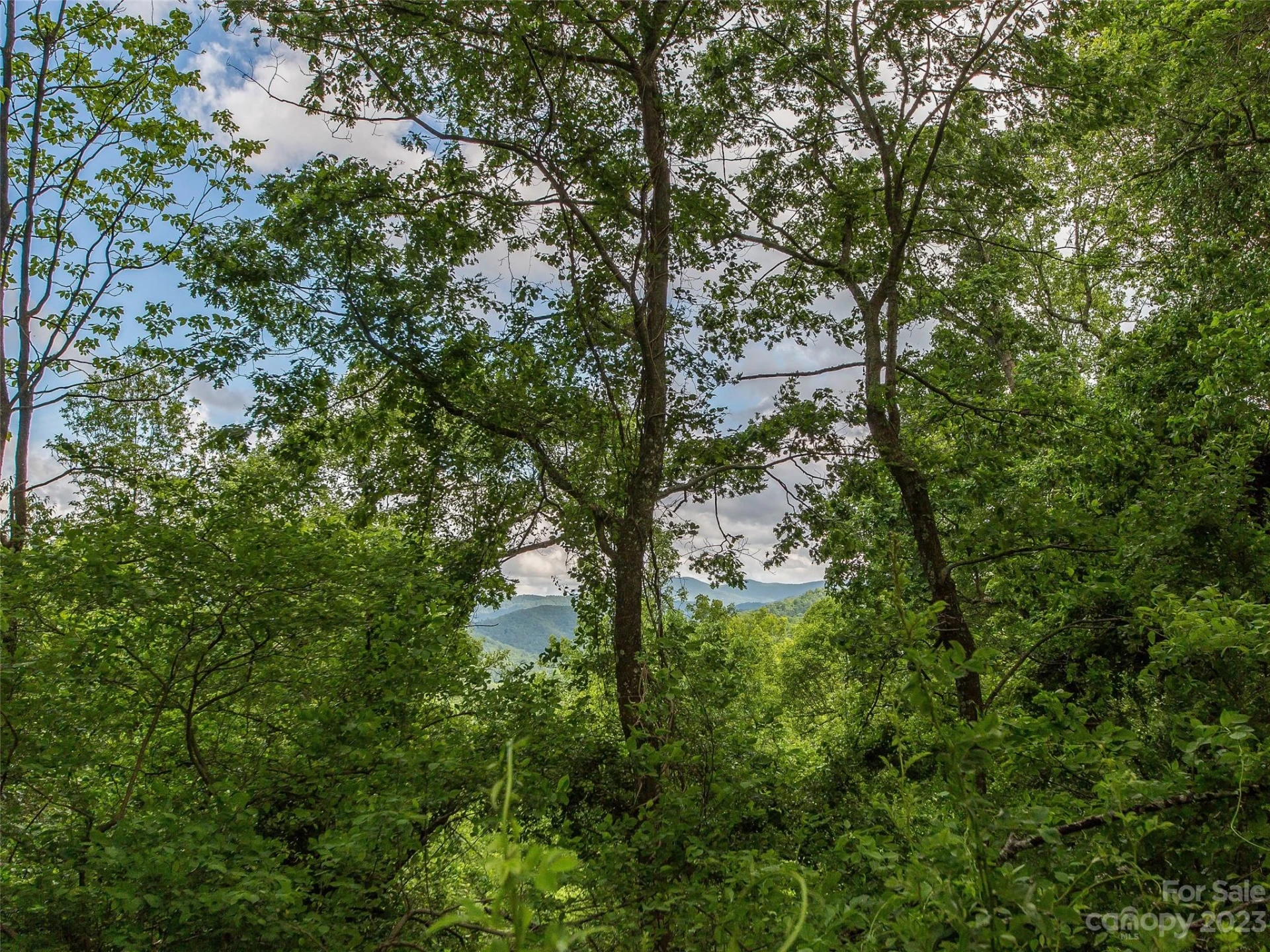 58 Flora Rose Trail #6A - Photo 19
