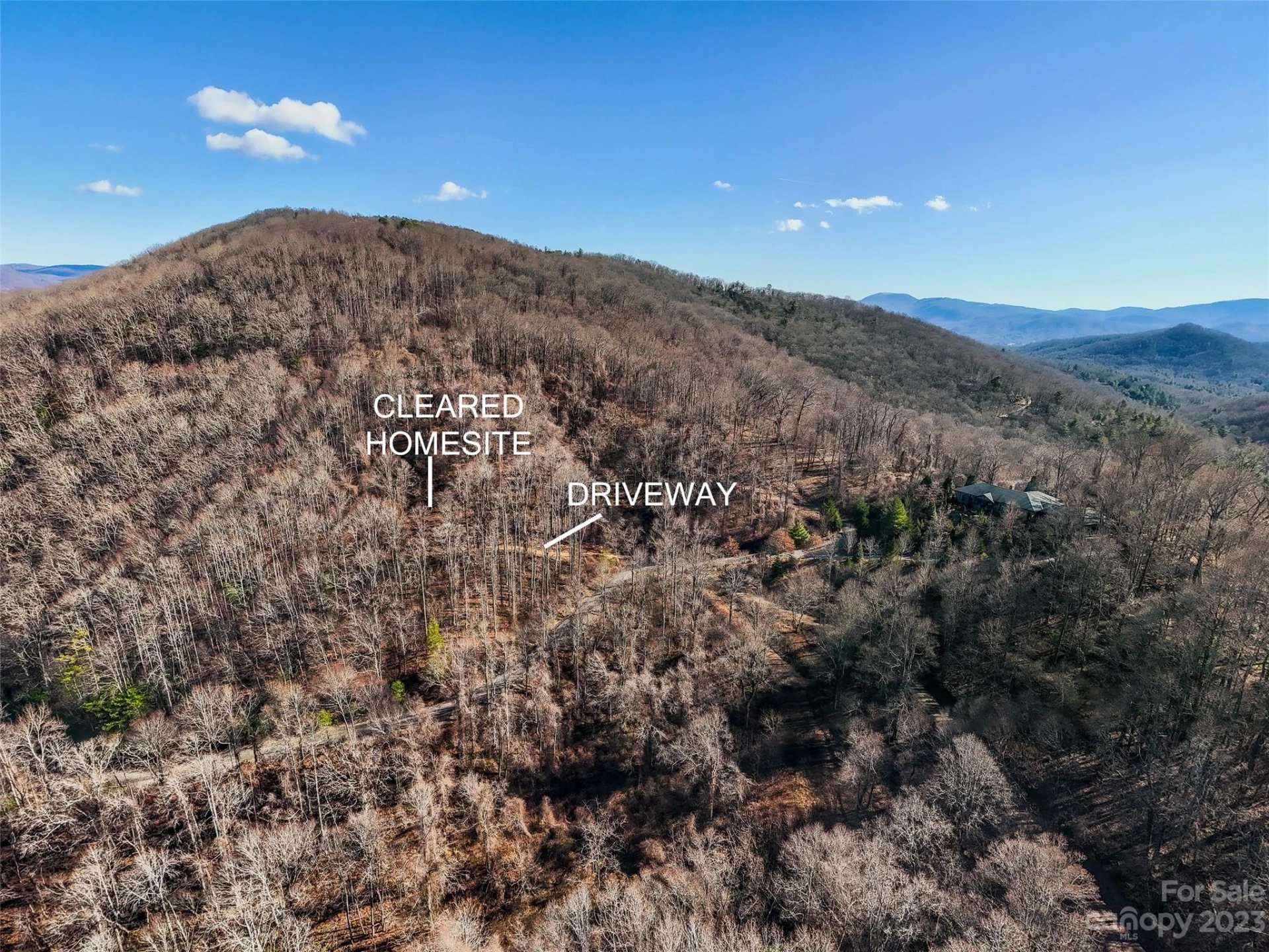 64 Flora Rose Trail #6B