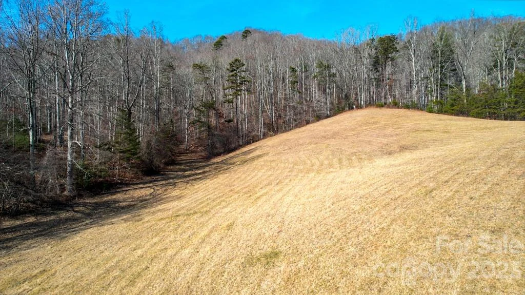 66 Fox Branch Road - Photo 31