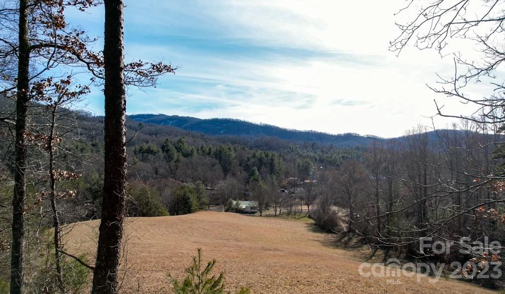 66 Fox Branch Road - Photo 33