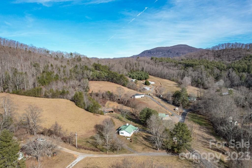 66 Fox Branch Road - Photo 5