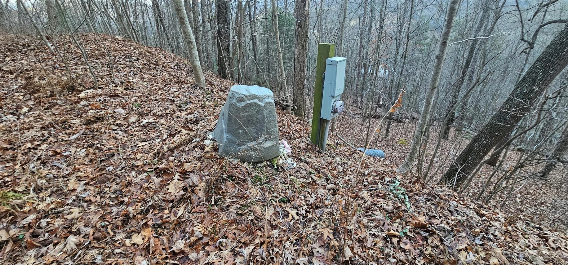 Lot 9 Seay Mountain Road - Photo 2