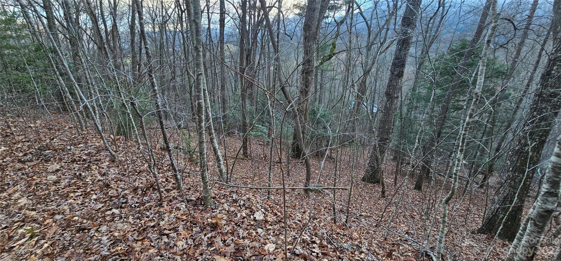 Lot 9 Seay Mountain Road - Photo 4