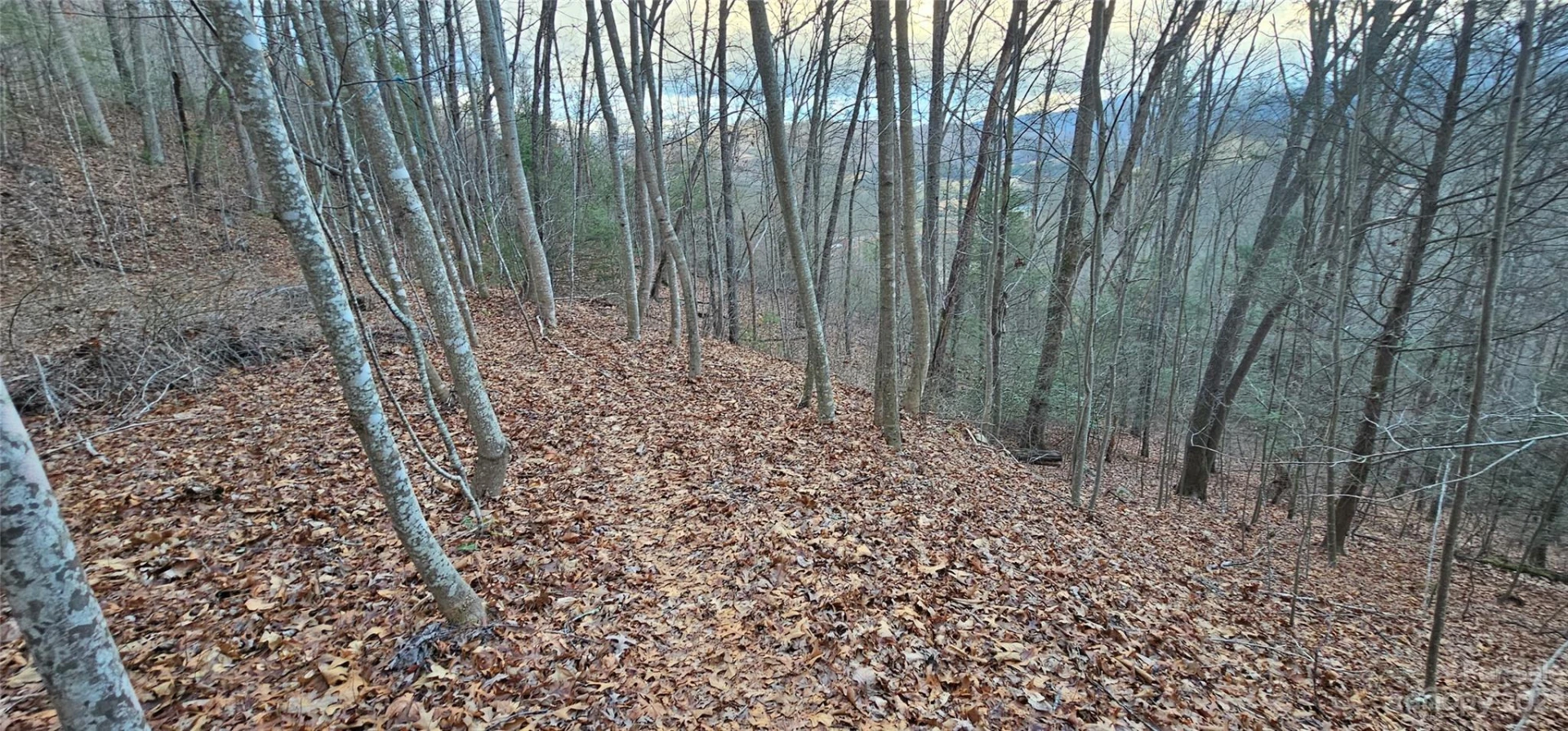Lot 9 Seay Mountain Road - Photo 5