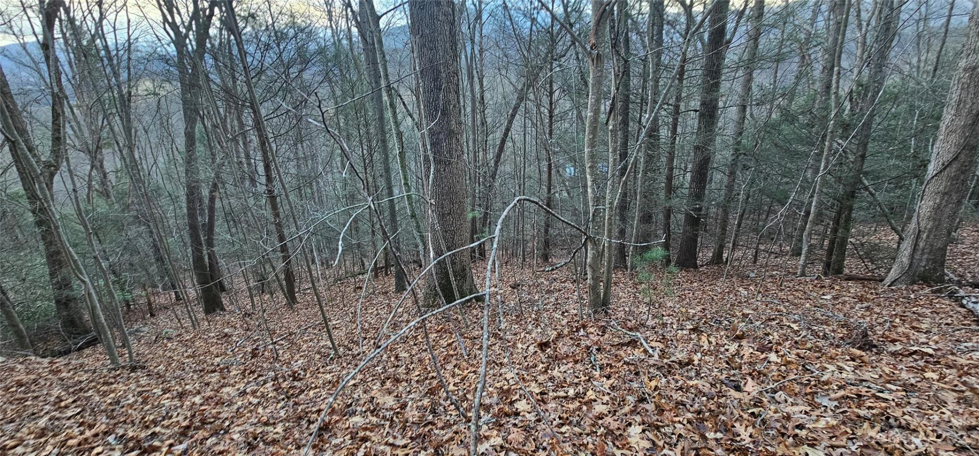 Lot 9 Seay Mountain Road - Photo 7