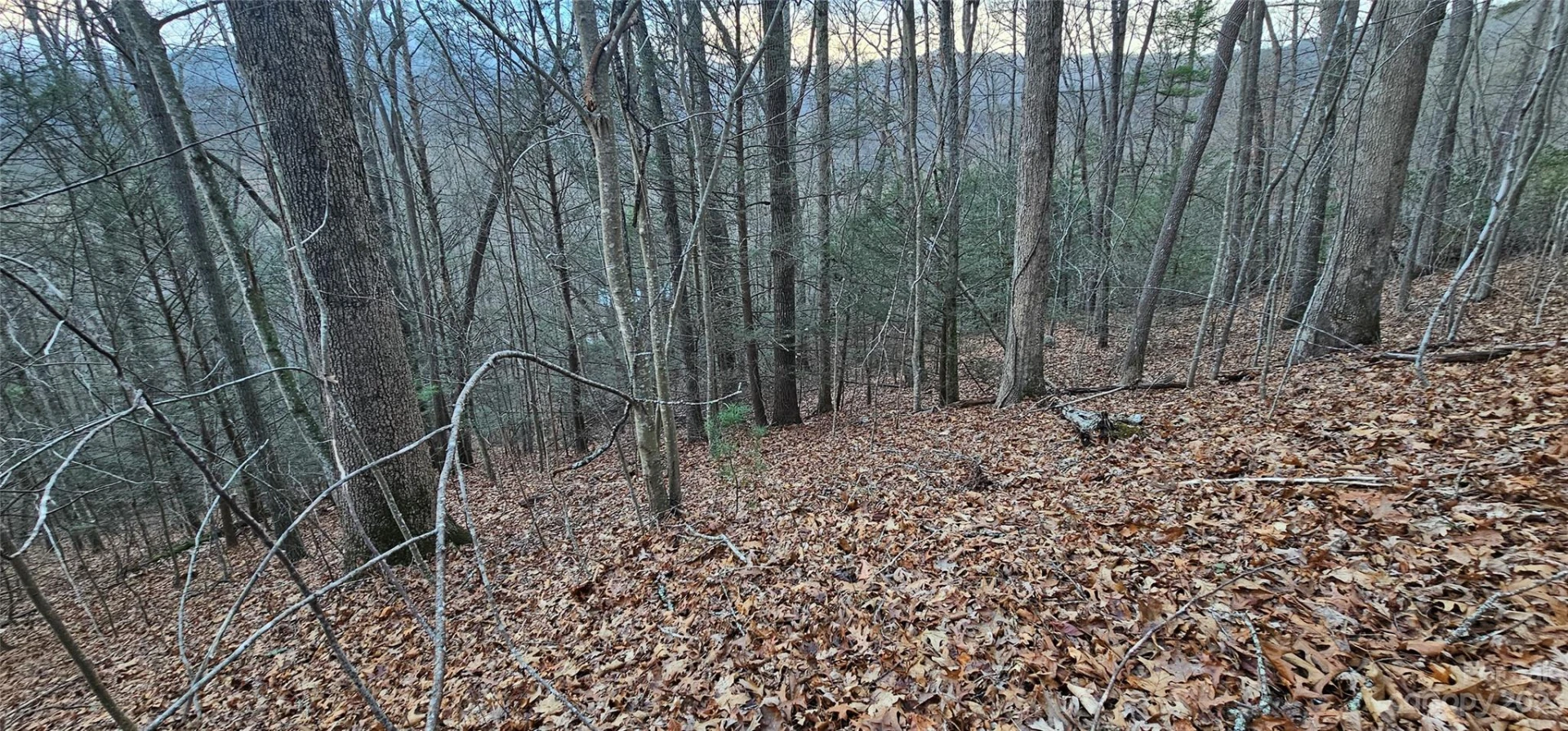 Lot 9 Seay Mountain Road - Photo 8
