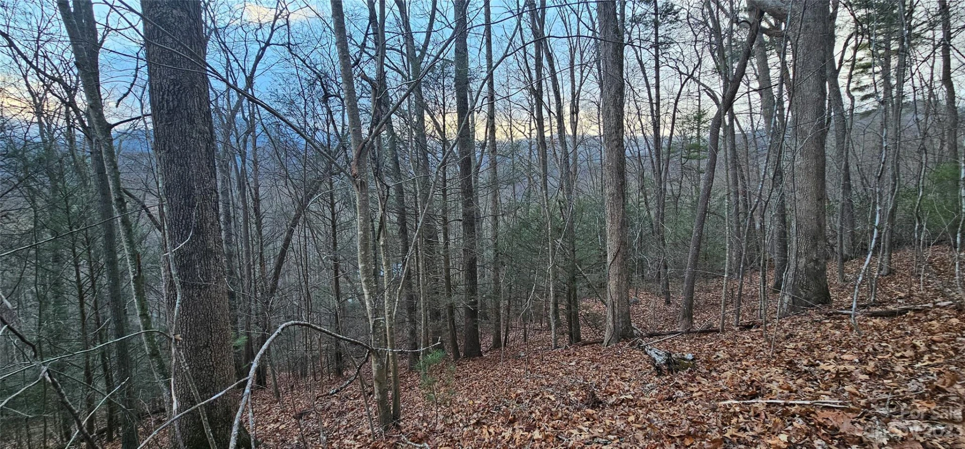 Lot 9 Seay Mountain Road - Photo 9