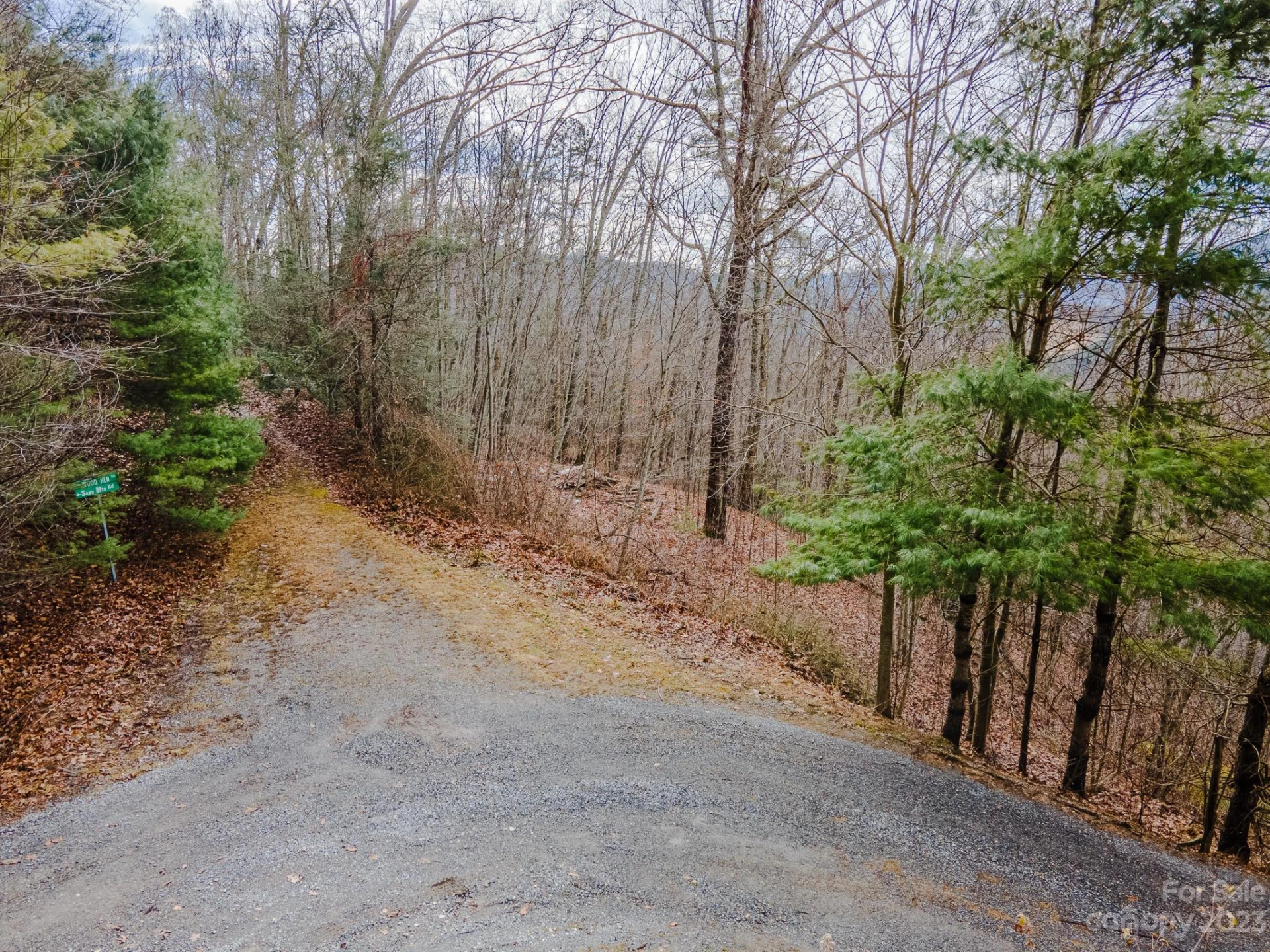 Lot 9 Seay Mountain Road - Photo 15