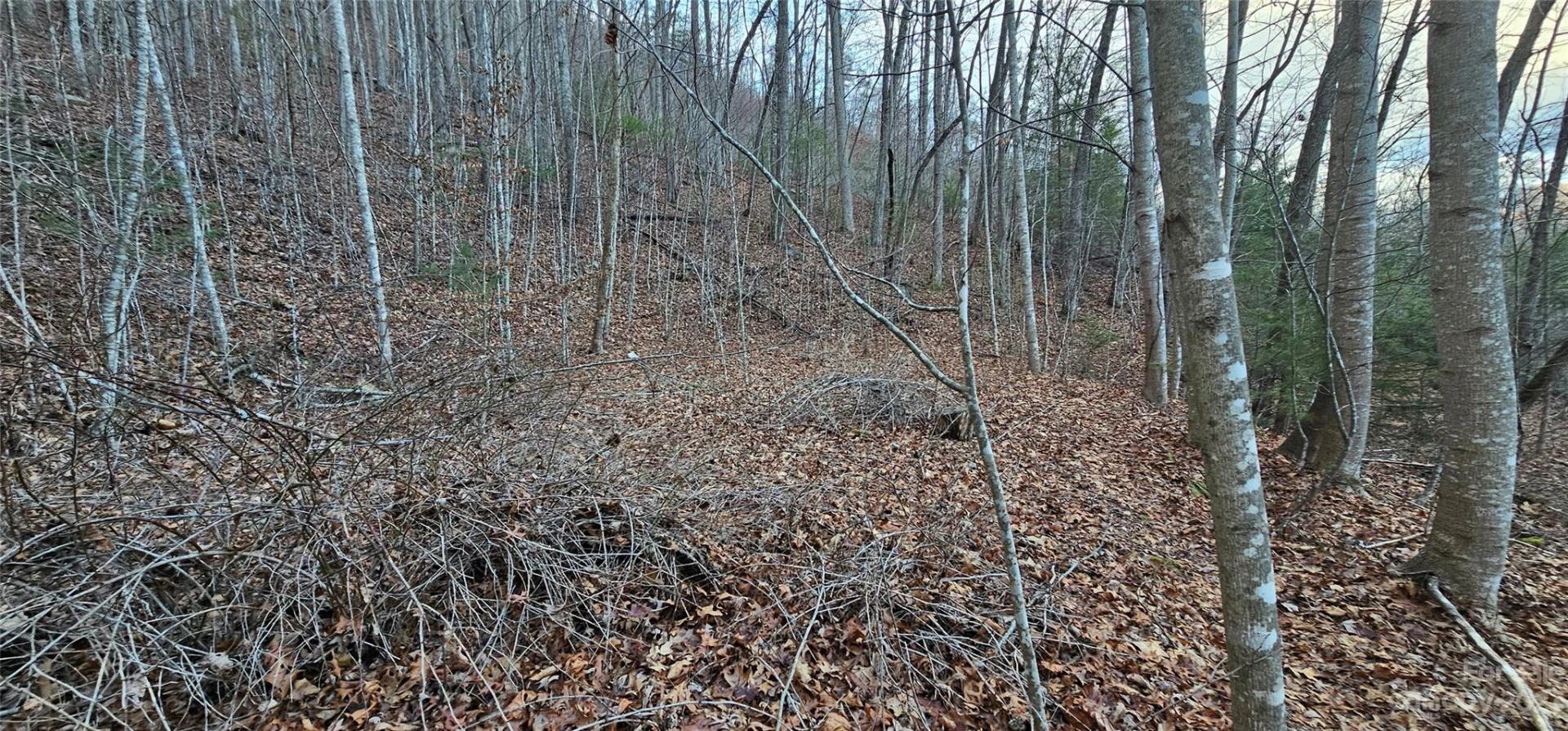 Lot 10 Seay Mountain Road - Photo 9