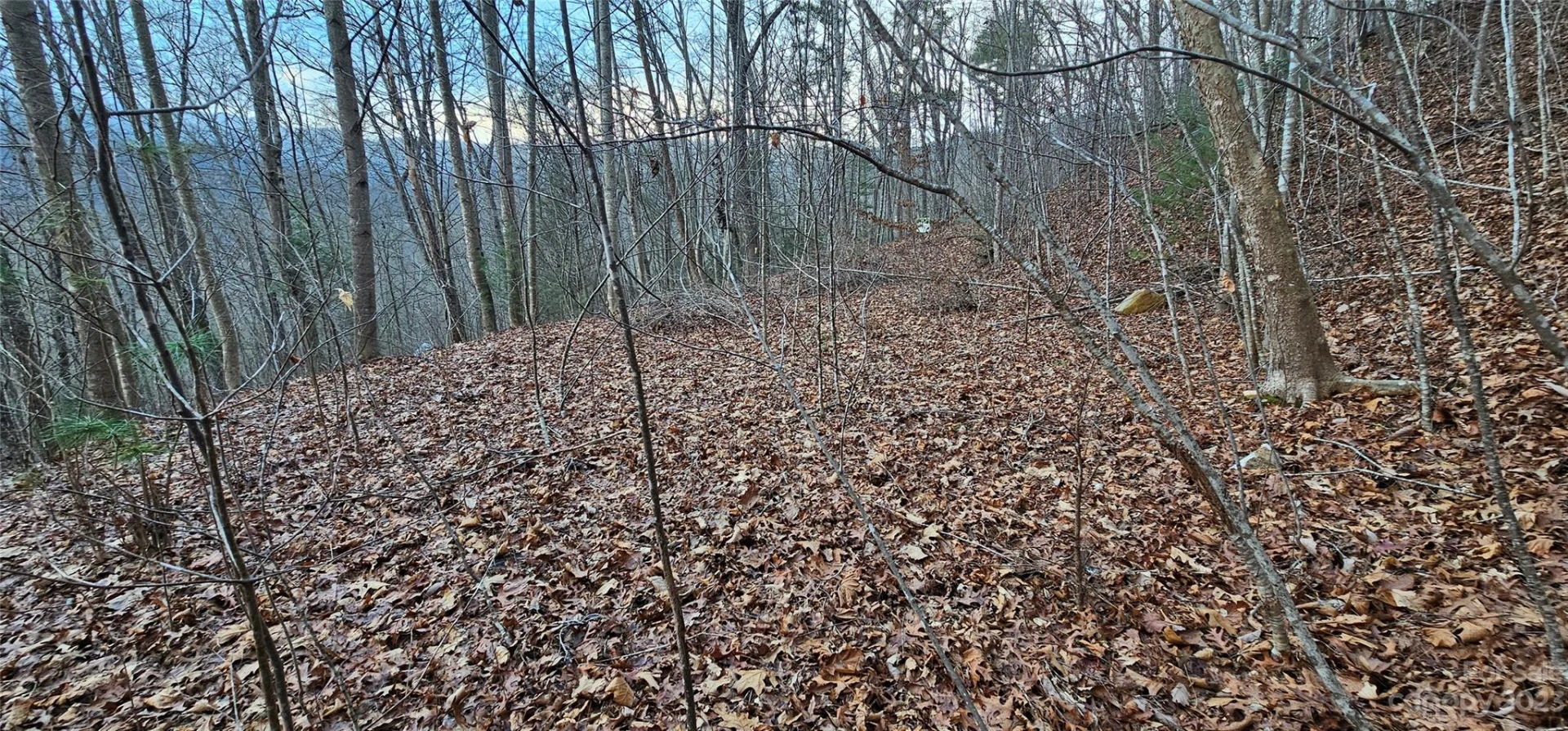 Lot 10 Seay Mountain Road - Photo 12