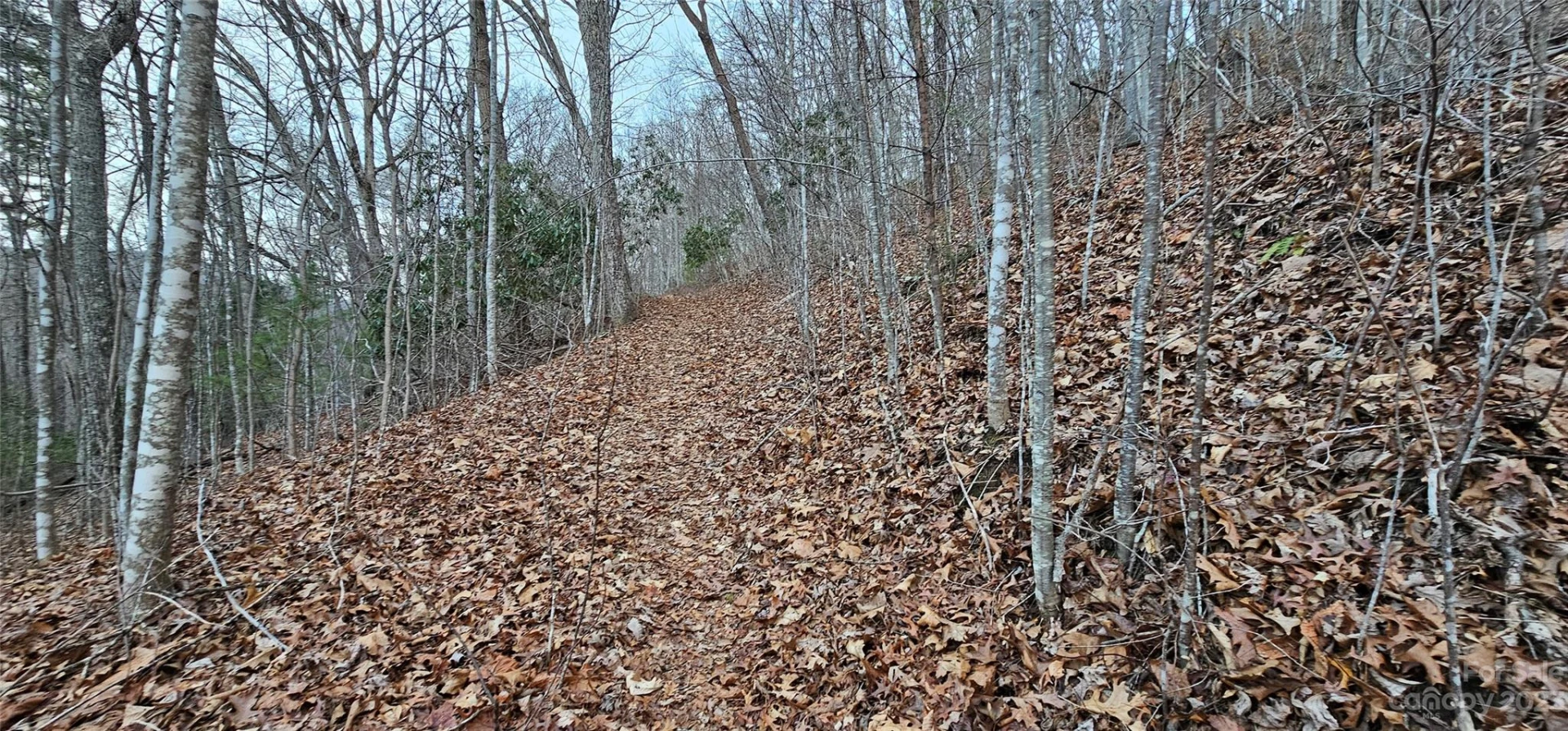 Lot 10 Seay Mountain Road - Photo 16
