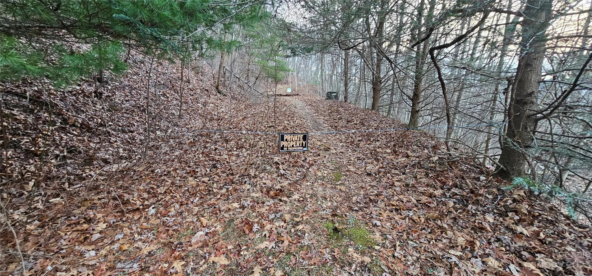 Lot 10 Seay Mountain Road - Photo 19