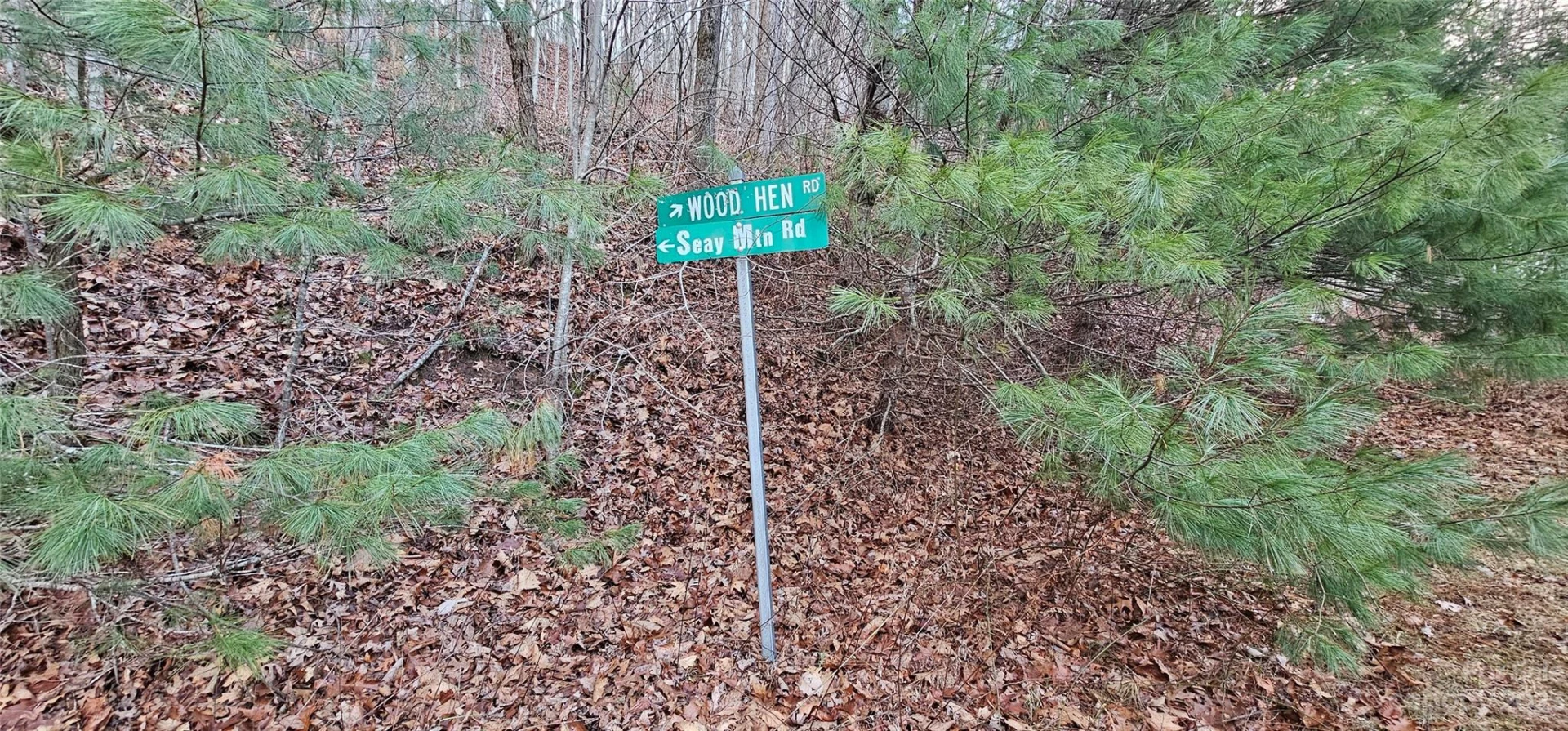Lot 10 Seay Mountain Road - Photo 20