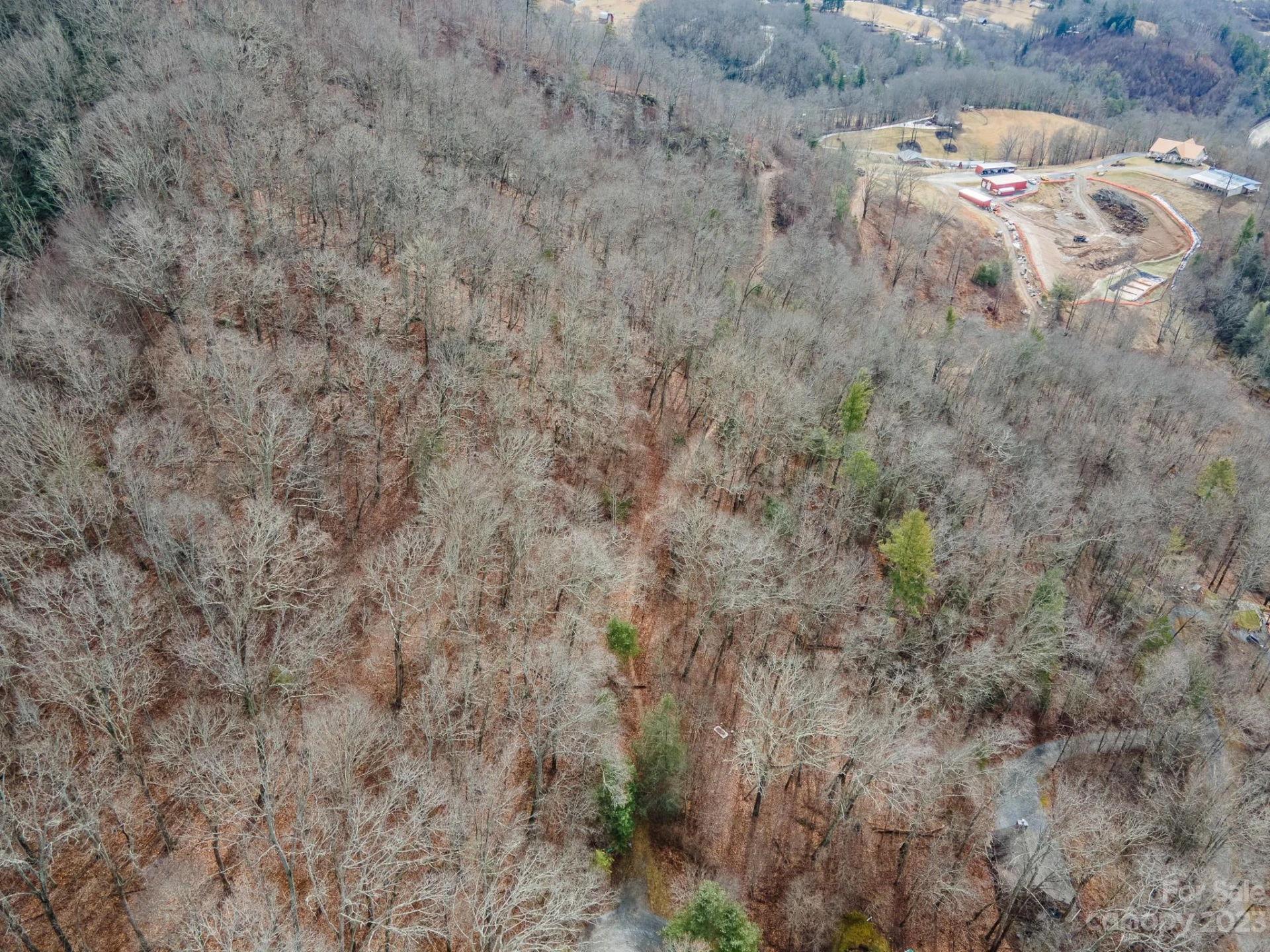 Lot 10 Seay Mountain Road - Photo 26