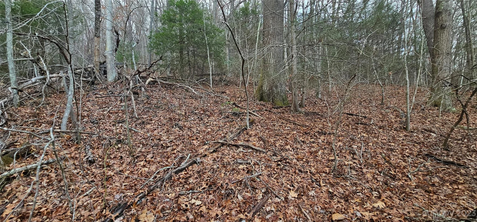 Lot 13 Seay Mountain Road - Photo 7