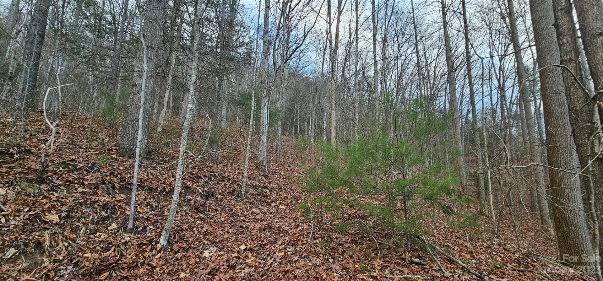 Lot 13 Seay Mountain Road - Photo 15