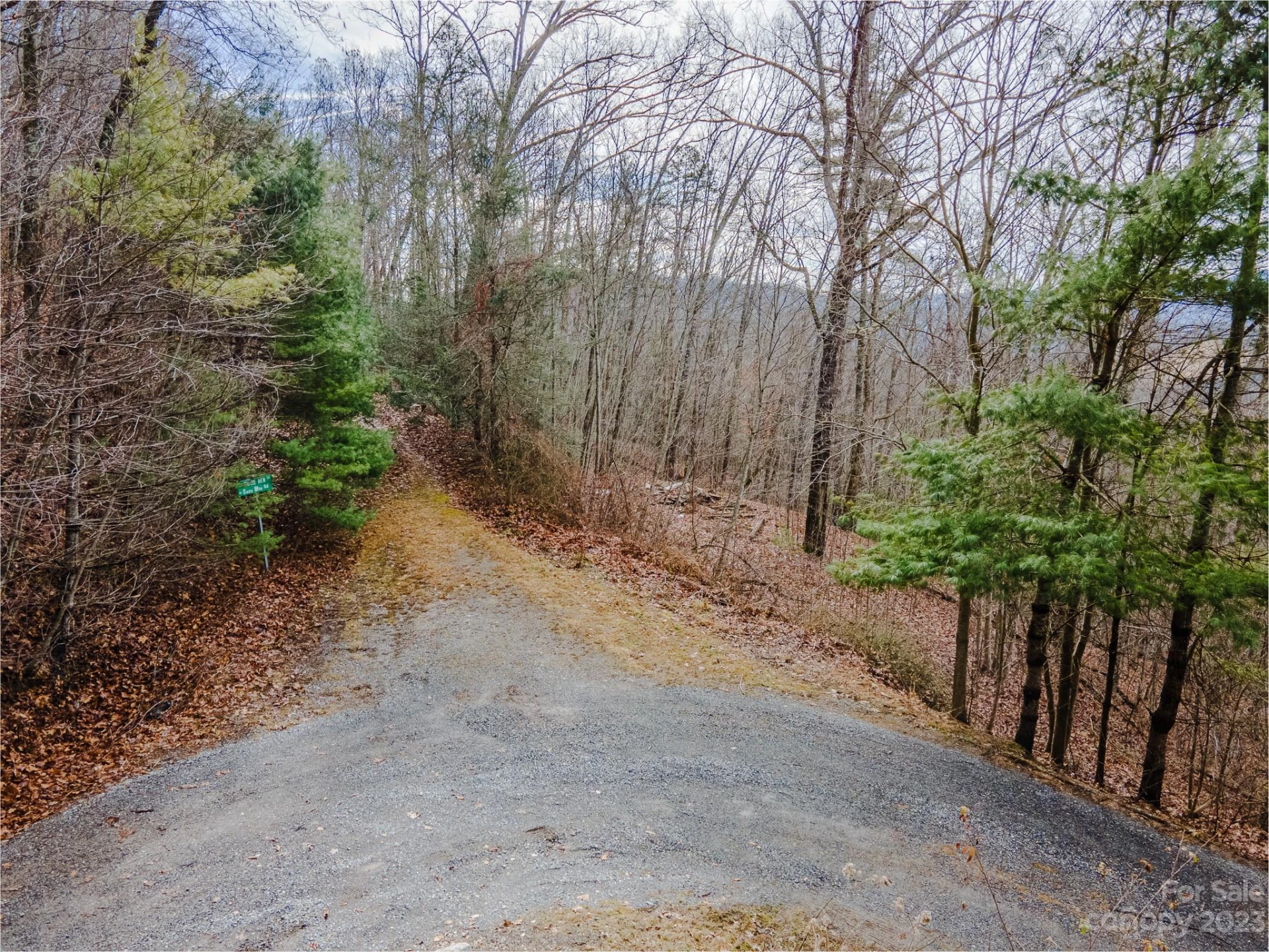 Lot 13 Seay Mountain Road - Photo 21