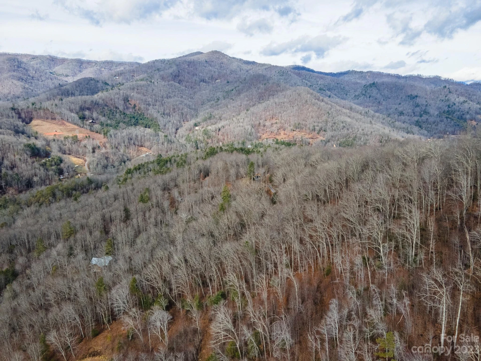 Lot 14 Seay Mountain Road - Photo 23
