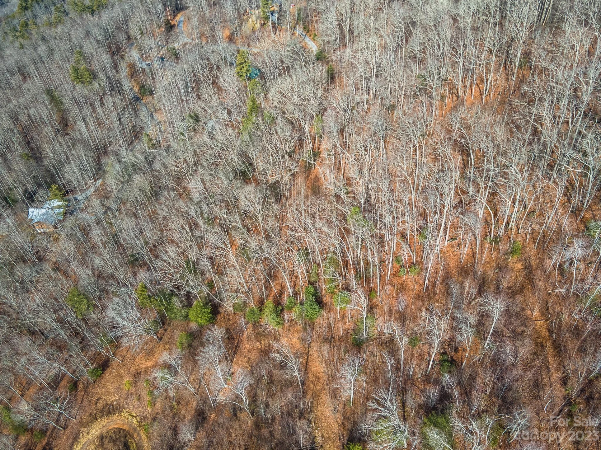 Lot 14 Seay Mountain Road - Photo 26