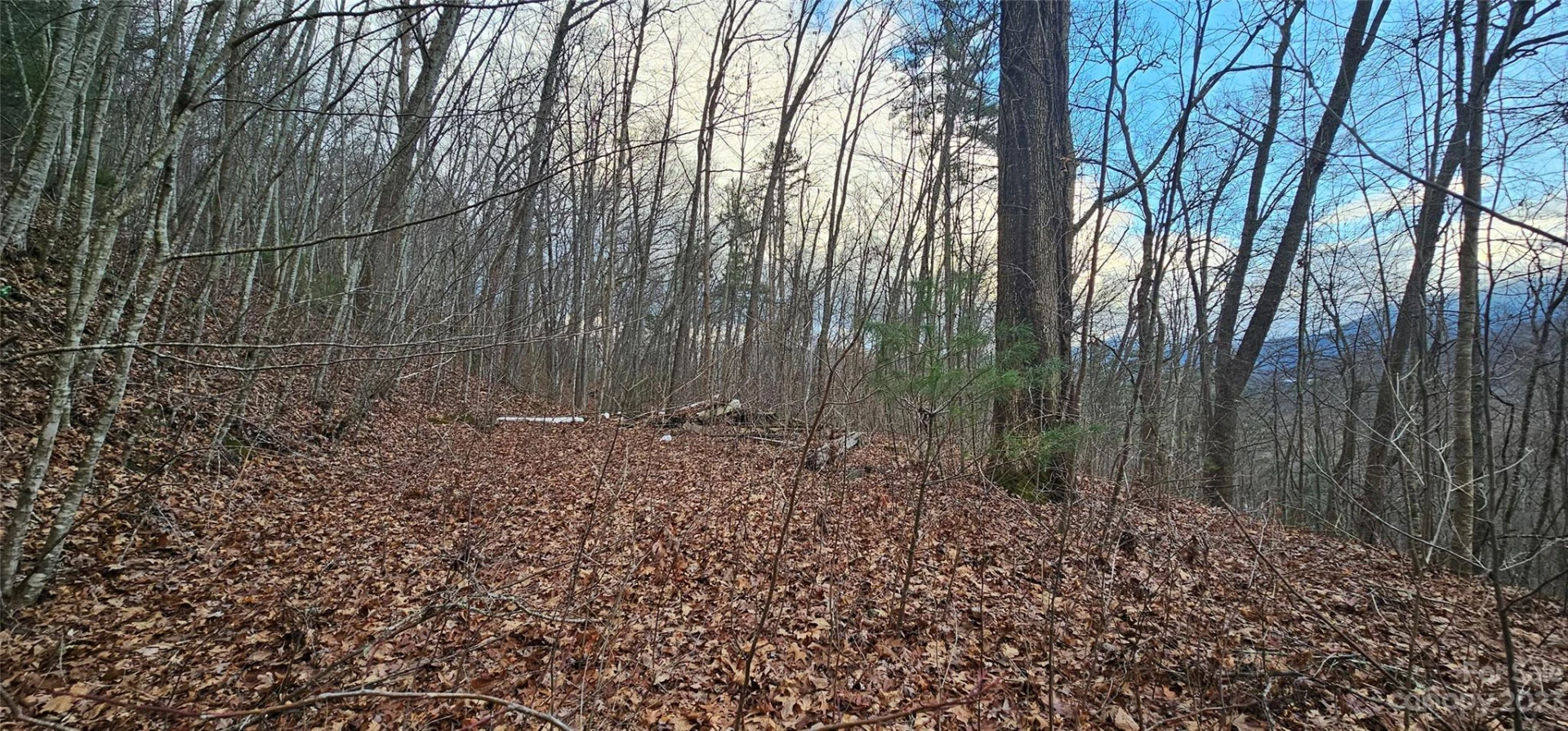 4 Lots Seay Mountain Road - Photo 6
