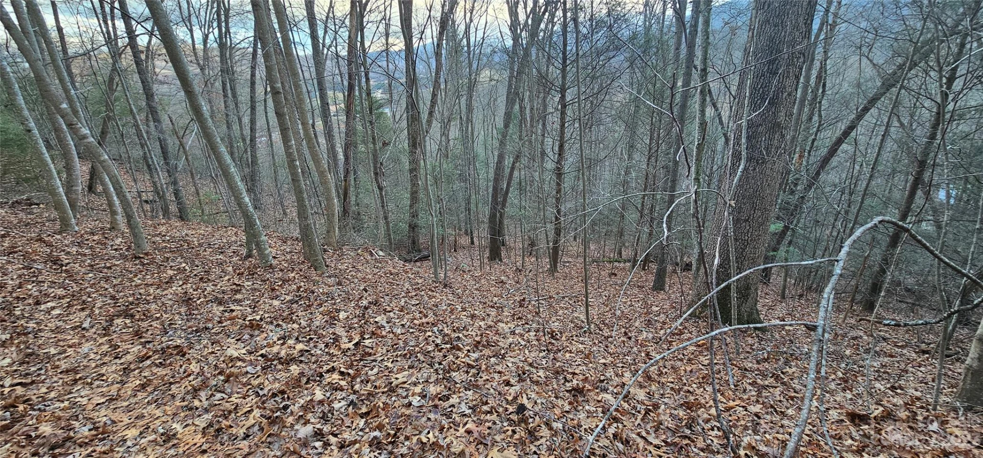 4 Lots Seay Mountain Road - Photo 17