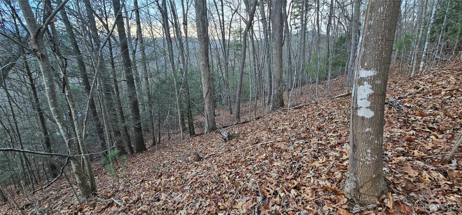4 Lots Seay Mountain Road - Photo 19