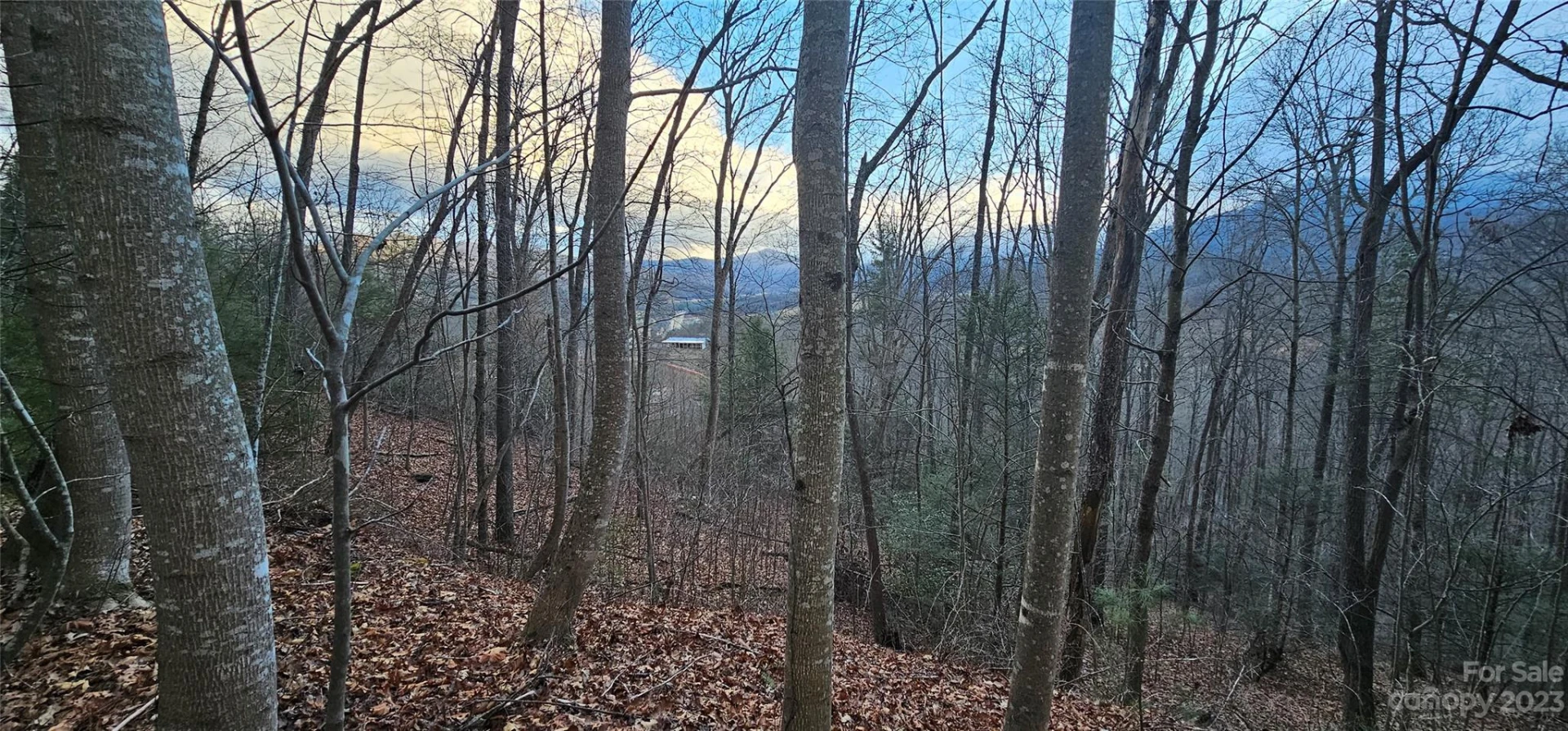 4 Lots Seay Mountain Road - Photo 21