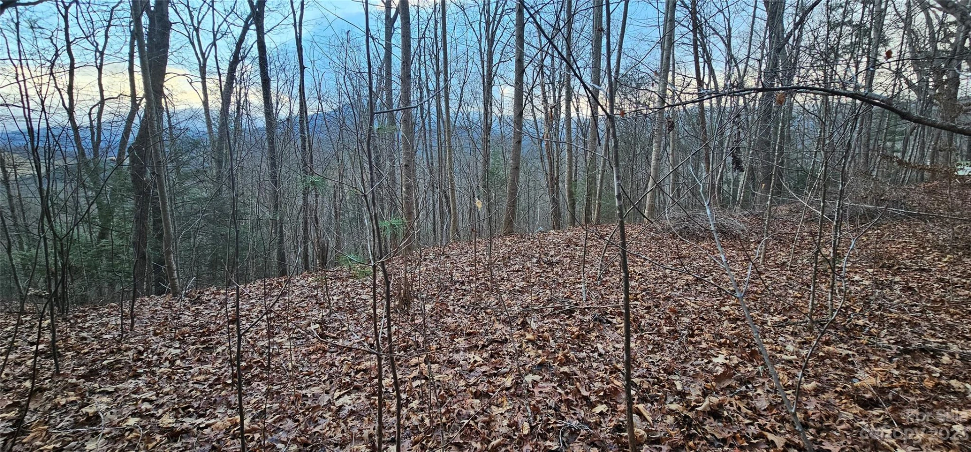 4 Lots Seay Mountain Road - Photo 22