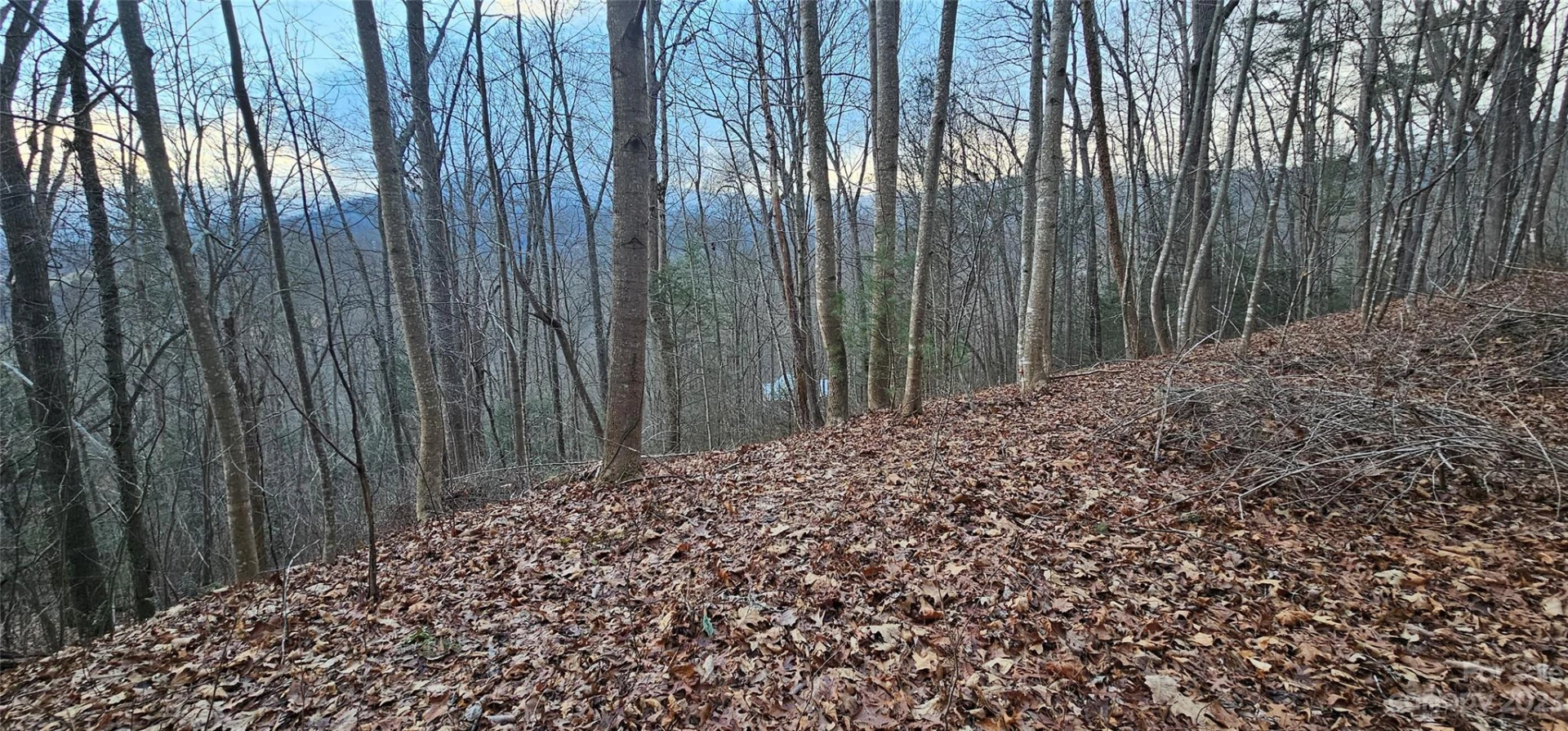 4 Lots Seay Mountain Road - Photo 24