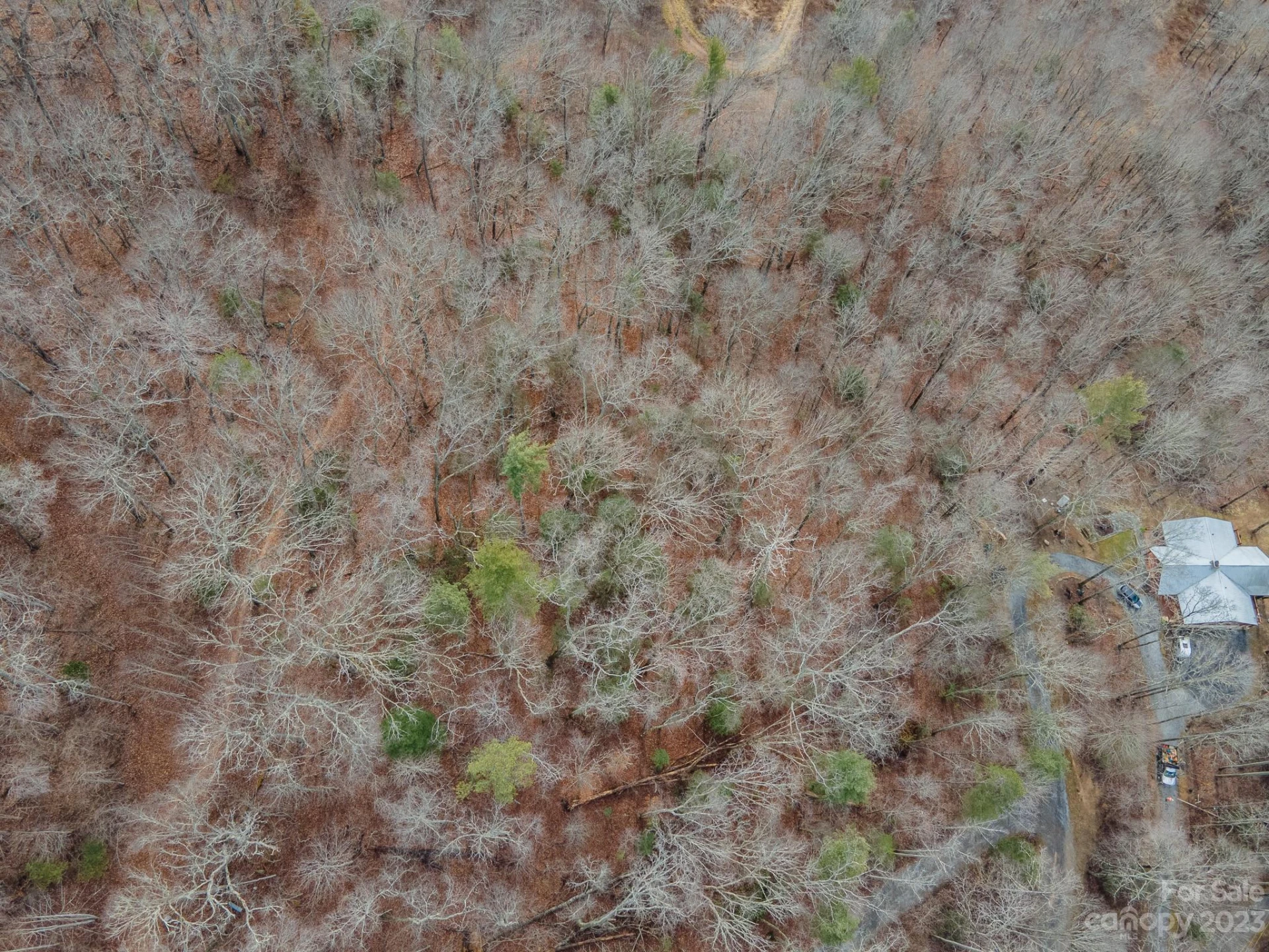 4 Lots Seay Mountain Road - Photo 38