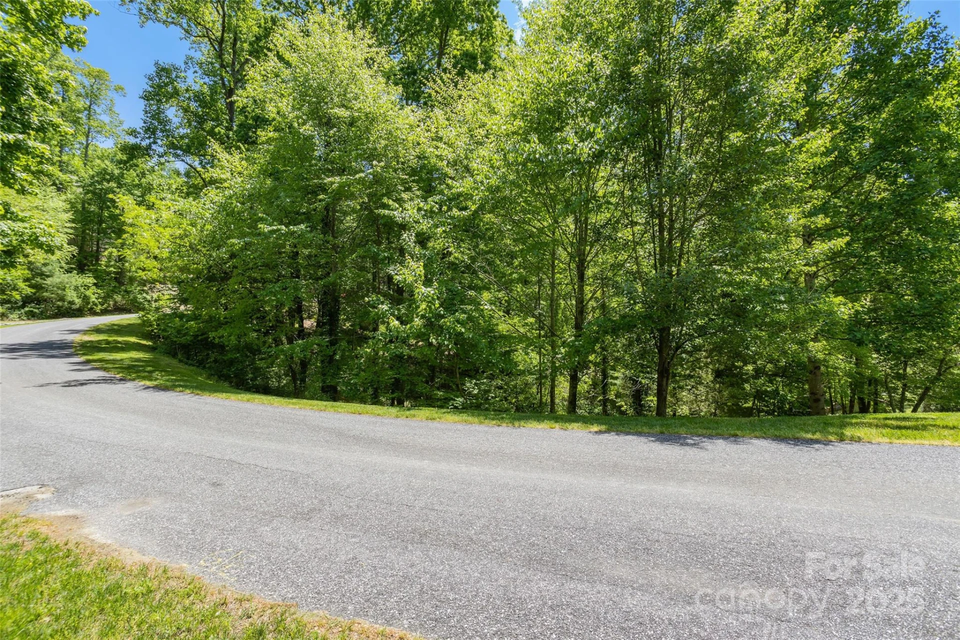 98 Flameleaf Lane - Photo 11