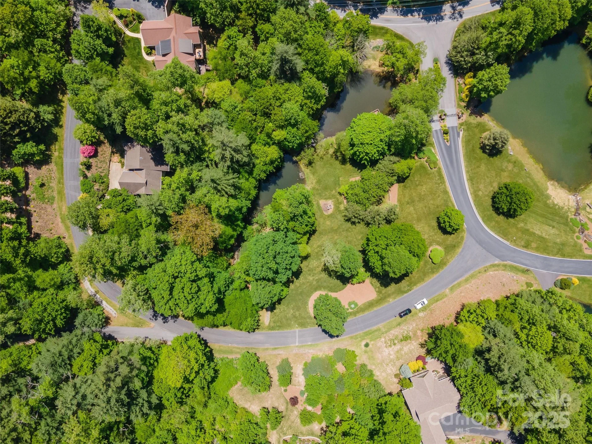 98 Flameleaf Lane - Photo 7