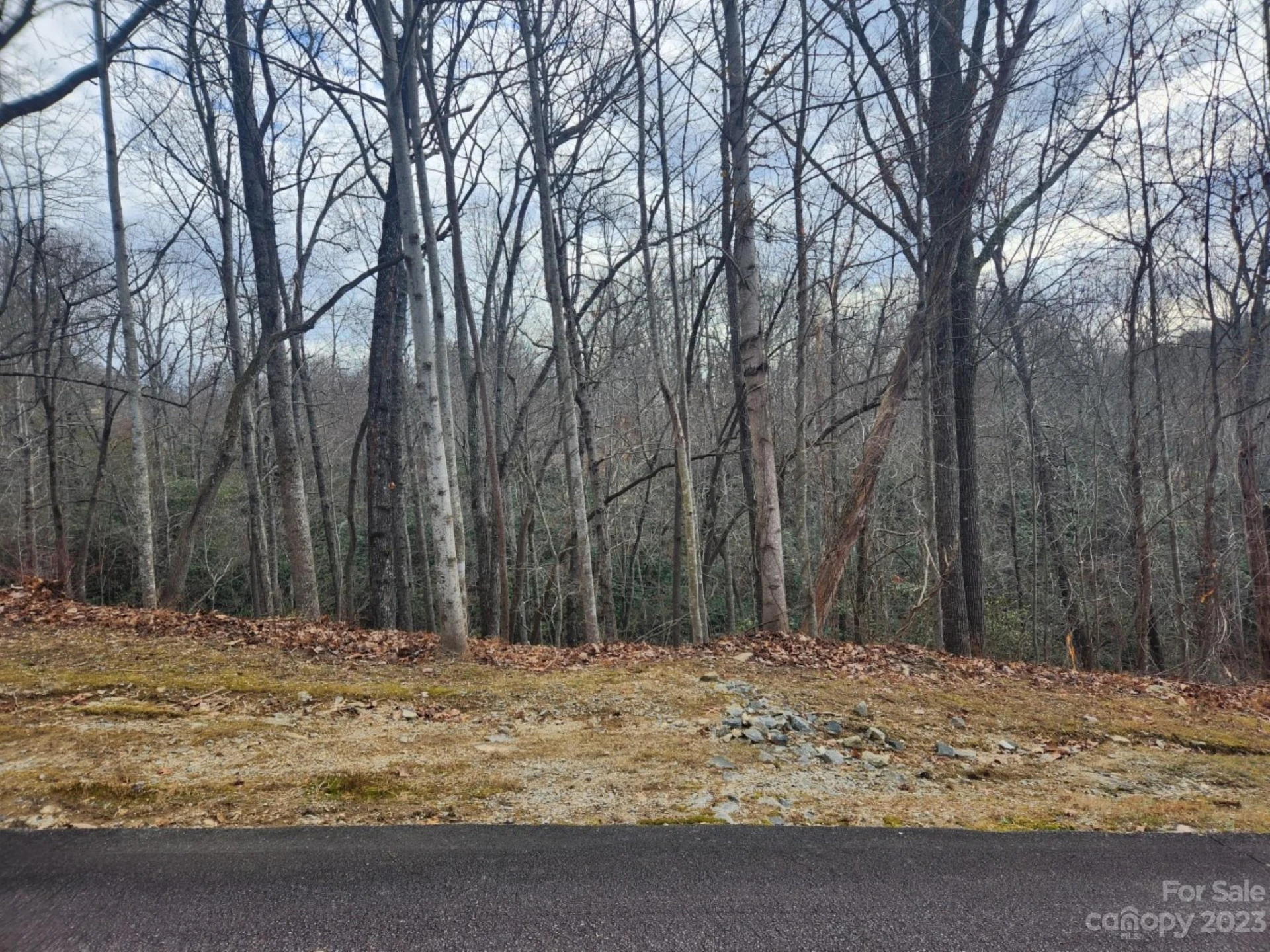 145 Ivywood Lane #10 - Photo 3