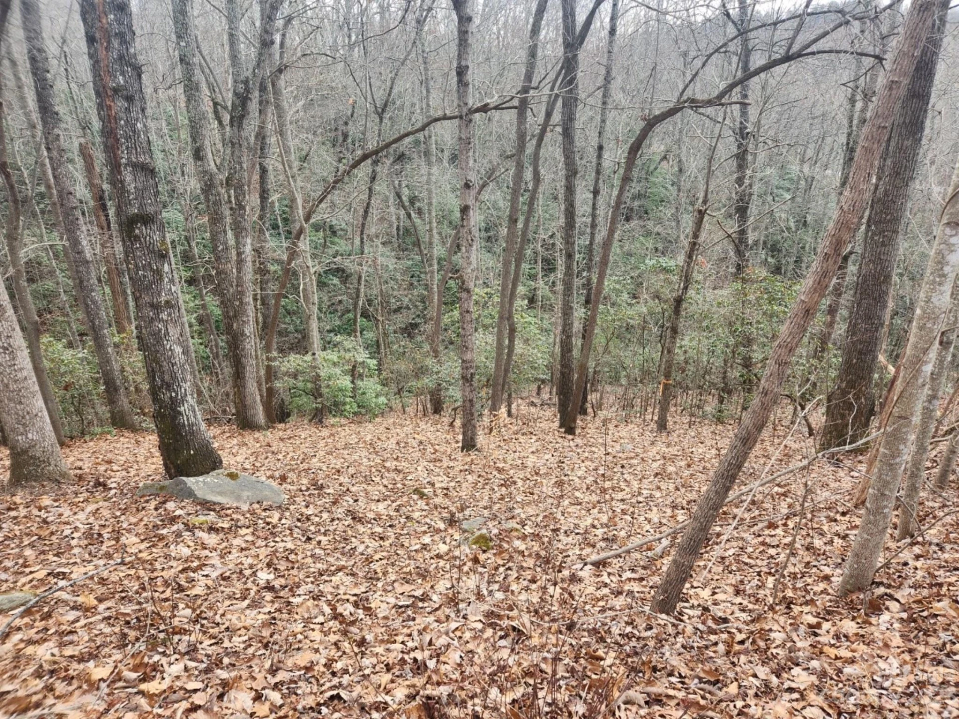 145 Ivywood Lane #10 - Photo 4