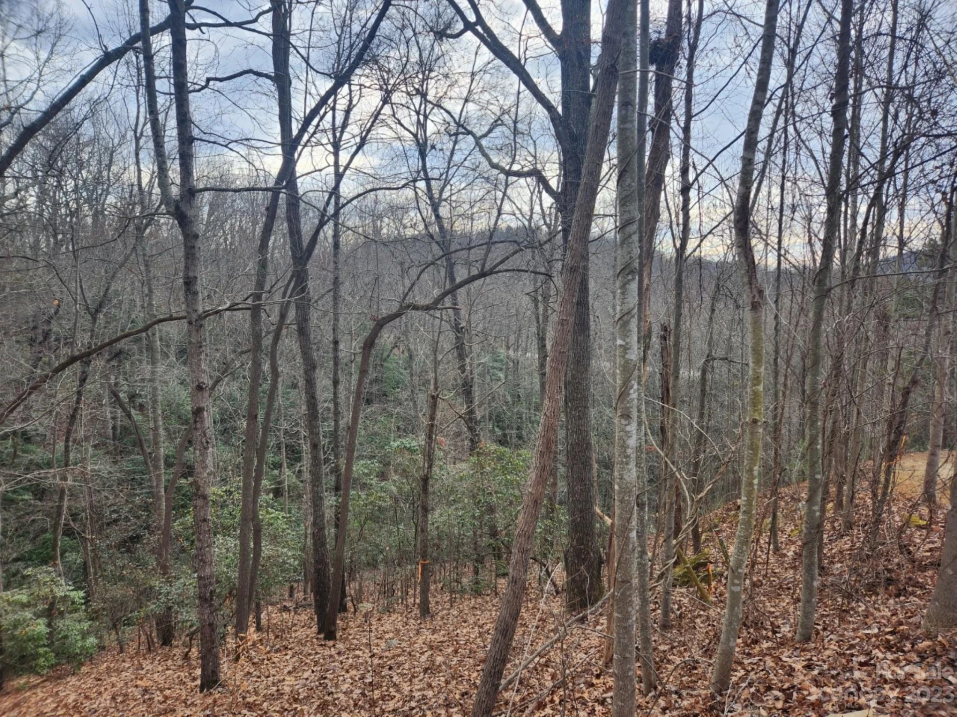 145 Ivywood Lane #10 - Photo 7