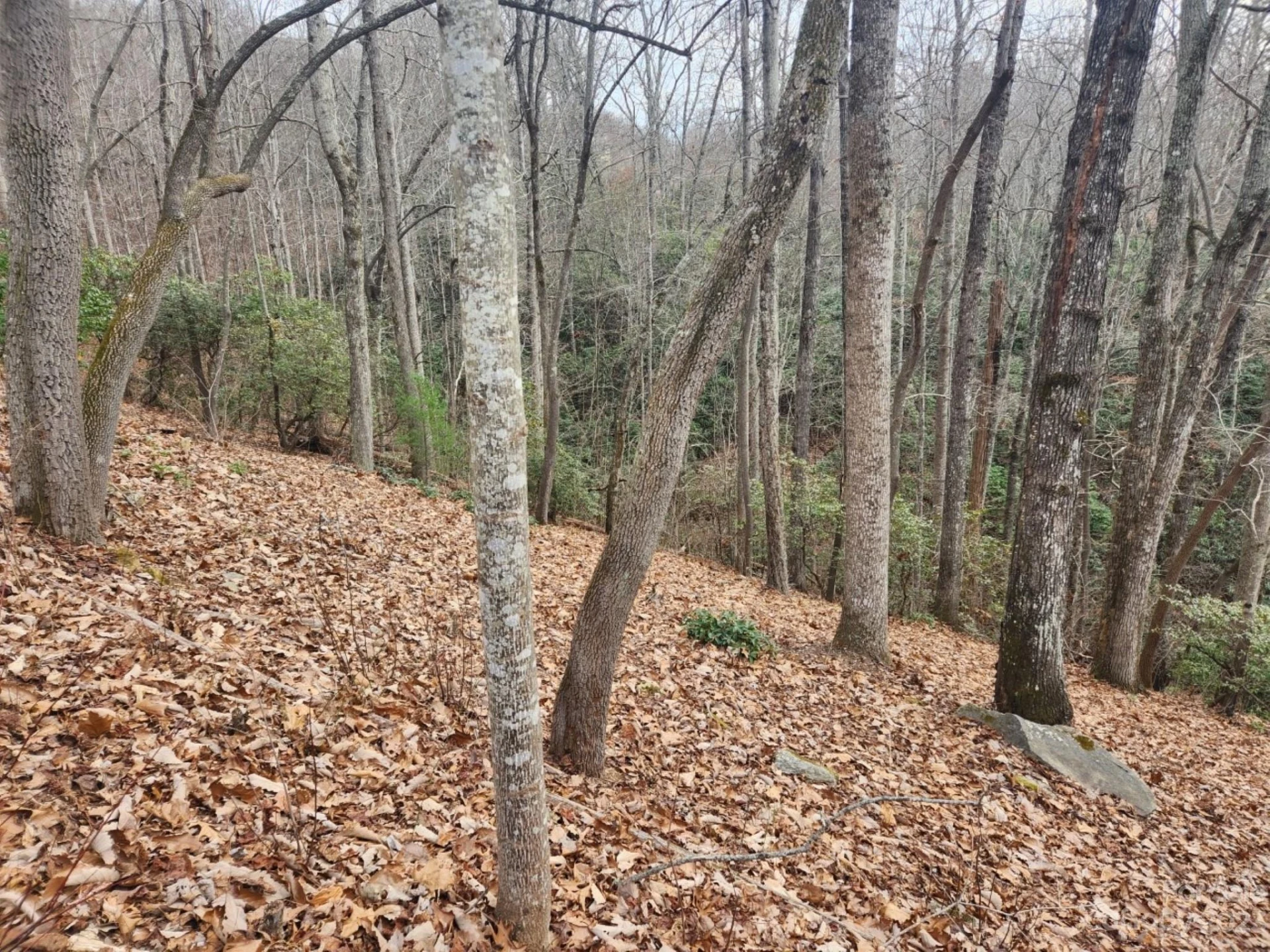 145 Ivywood Lane #10 - Photo 8