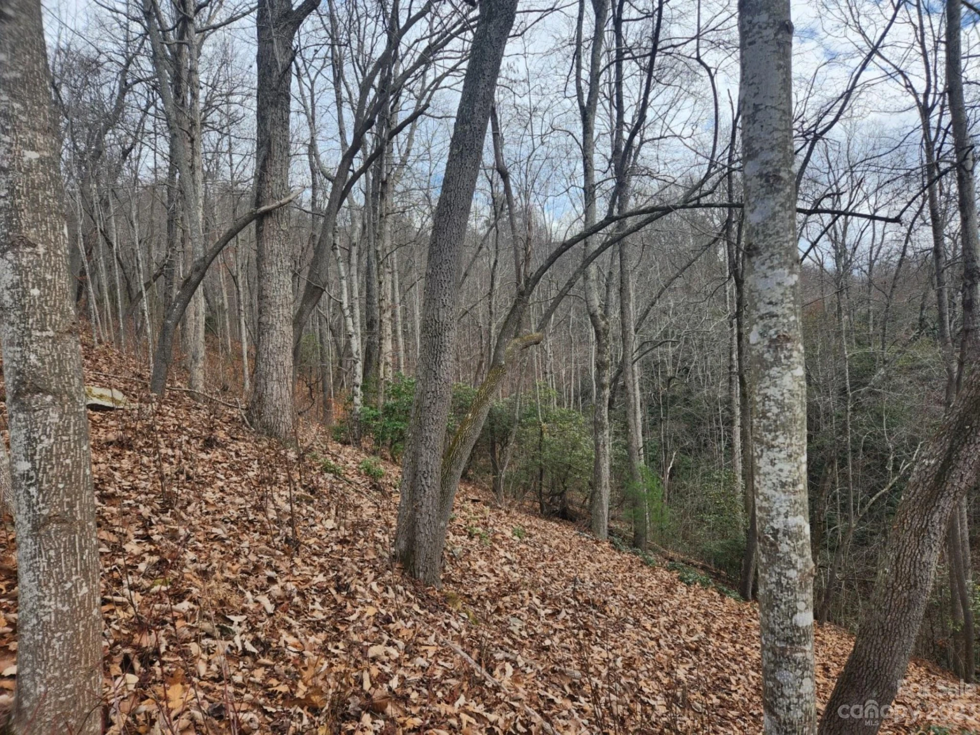 145 Ivywood Lane #10 - Photo 10