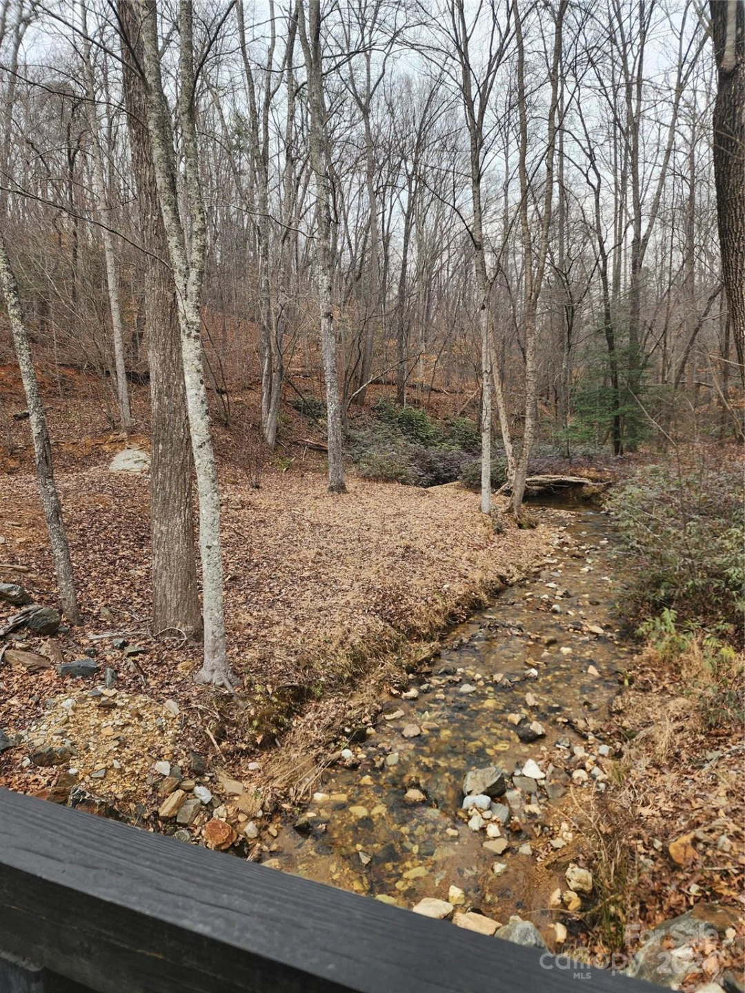 Lot #73 Black Lark Drive - Photo 12